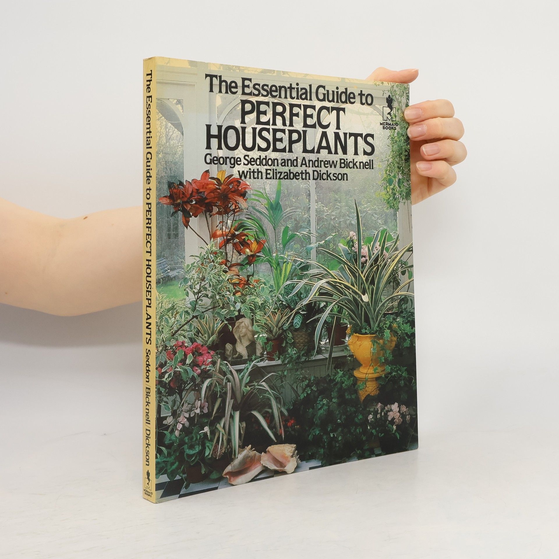 The Essential Guide to Perfect Houseplants