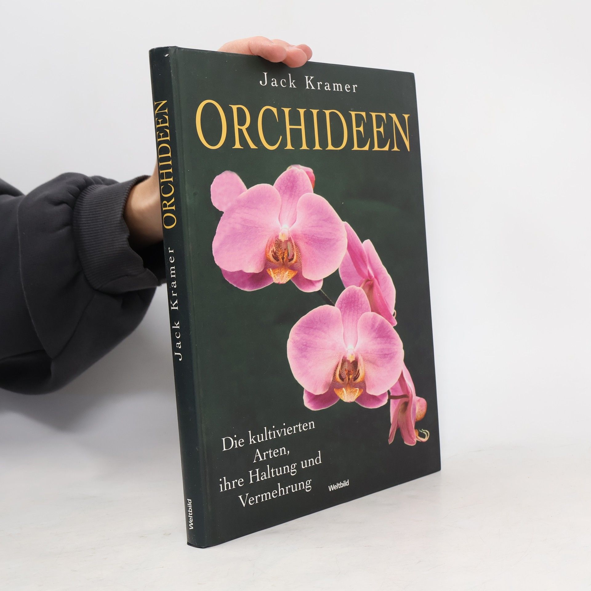 Jack Kramer Orchideen