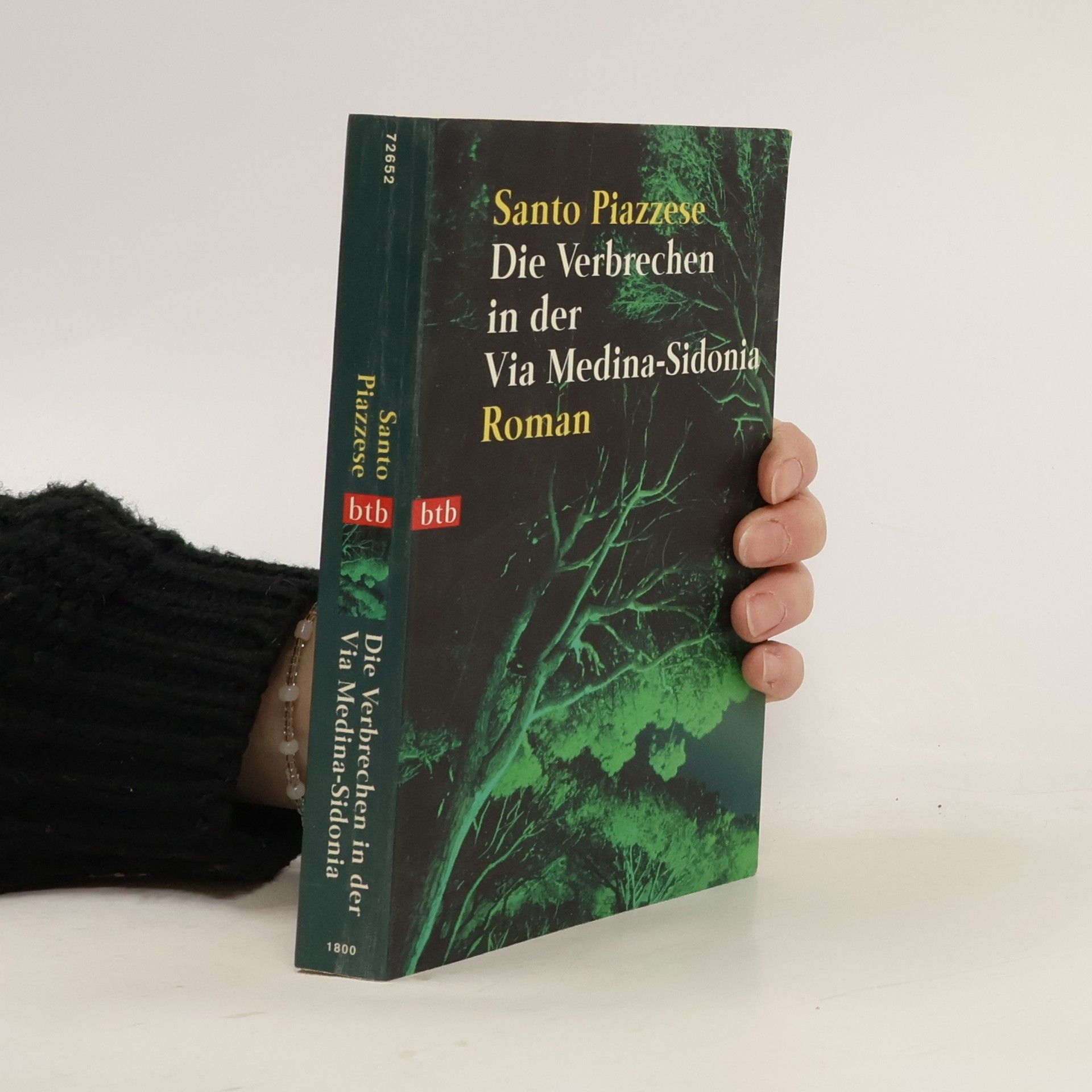 Santo Piazzese Die Verbrechen in der Via Medina-Sidonia