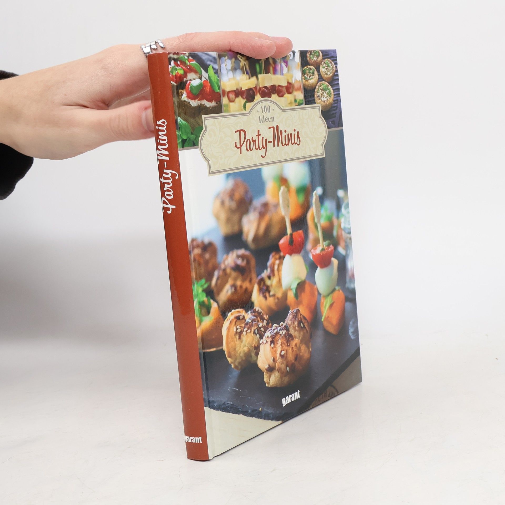 Auteurscollectief 100 Ideen Party Minis