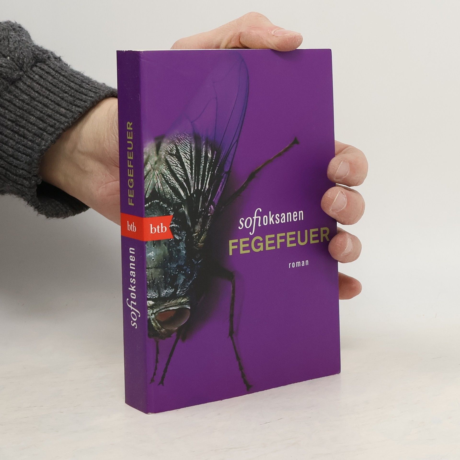 Sofi Oksanen Fegefeuer