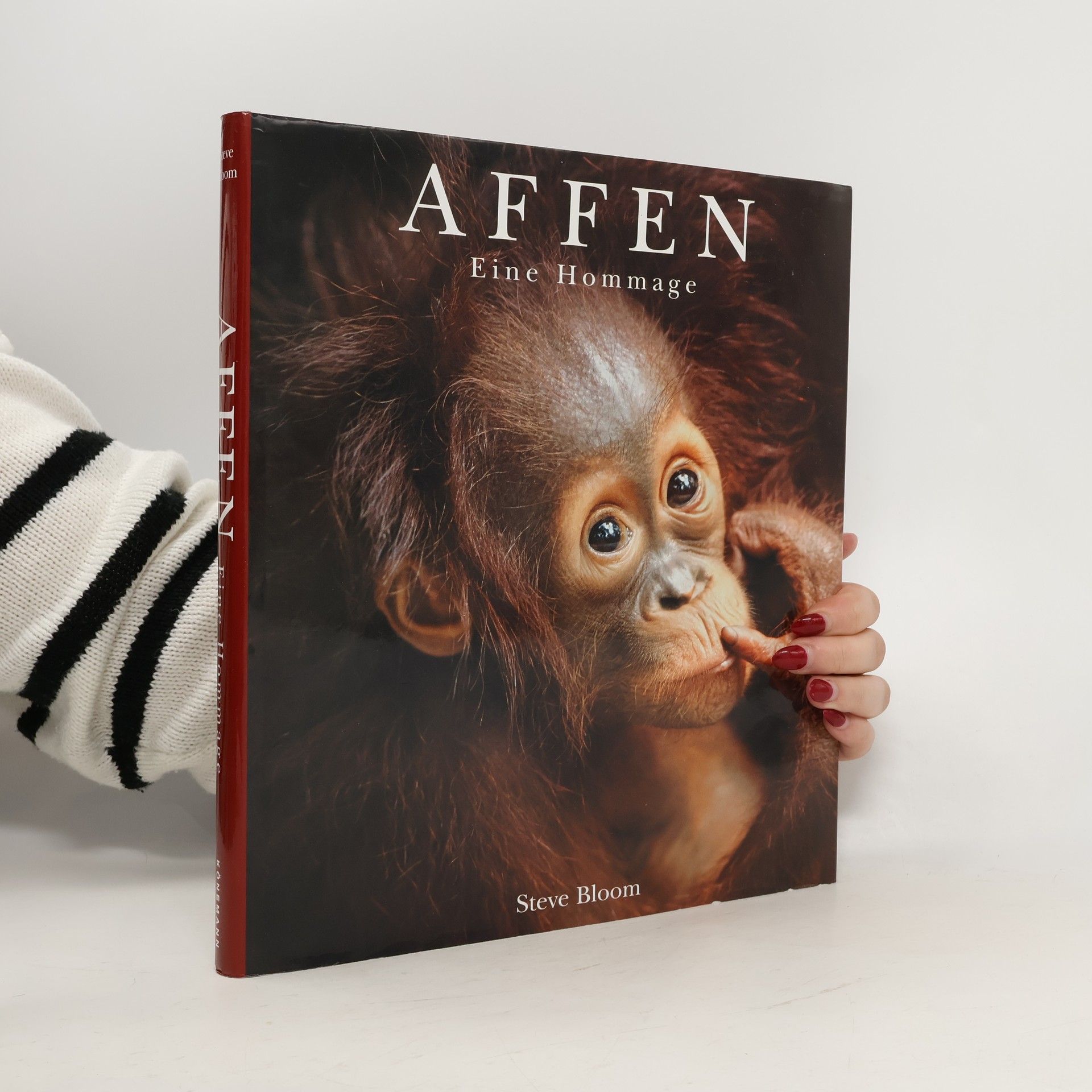 Steve Bloom Affen - eine Hommage