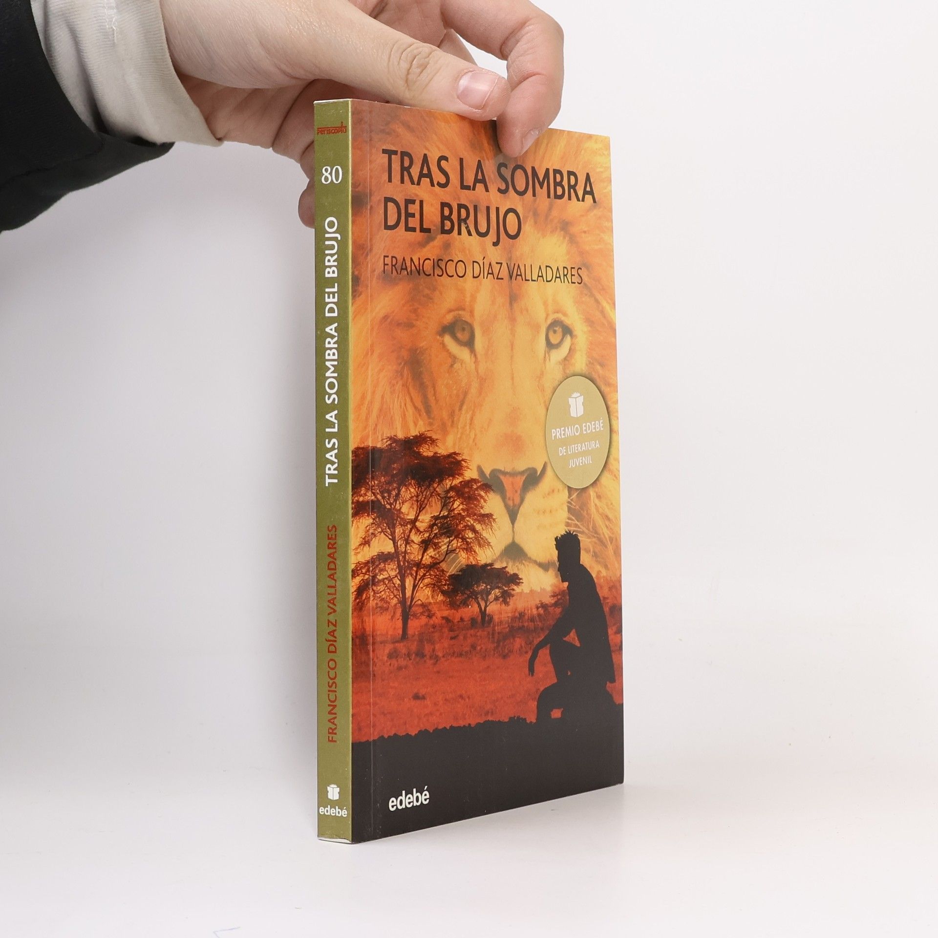 Francisco Díaz Valladares Tras la sombra del brujo