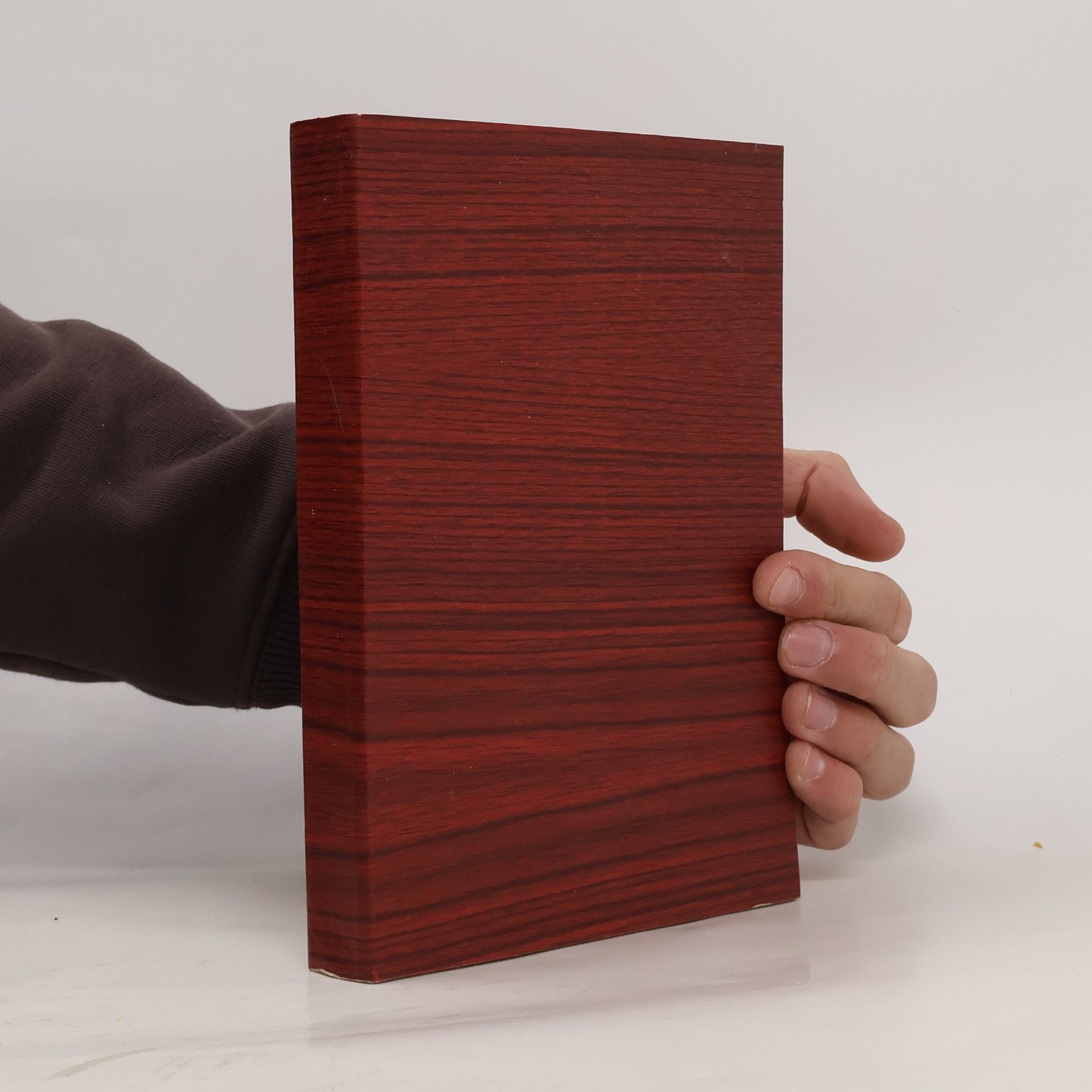 Roger Scruton Slovník politického myšlení