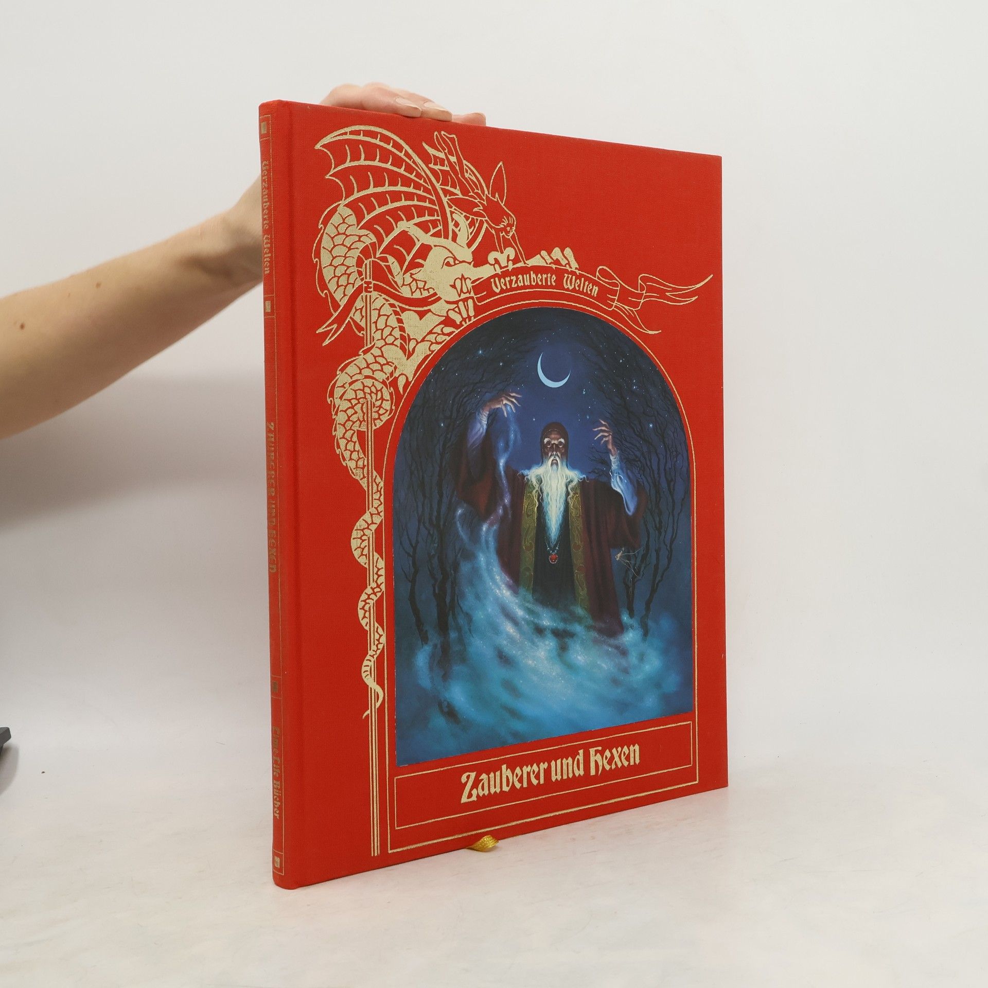 Brendan Lehane Zauberer und Hexen