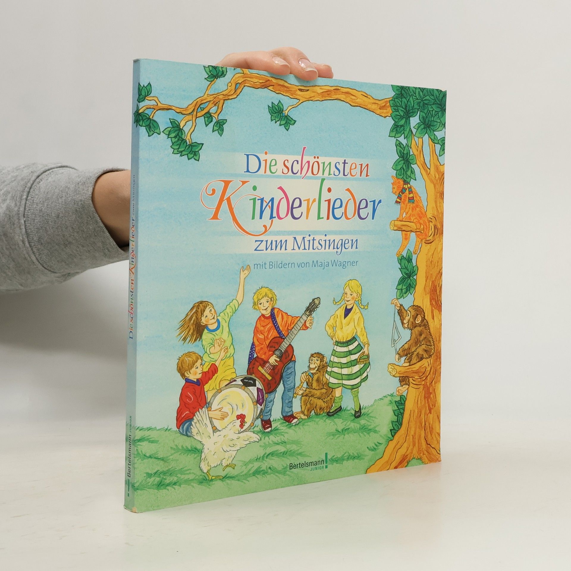 Autorenkollektiv Die schönsten Kinderlieder zum Mitsingen