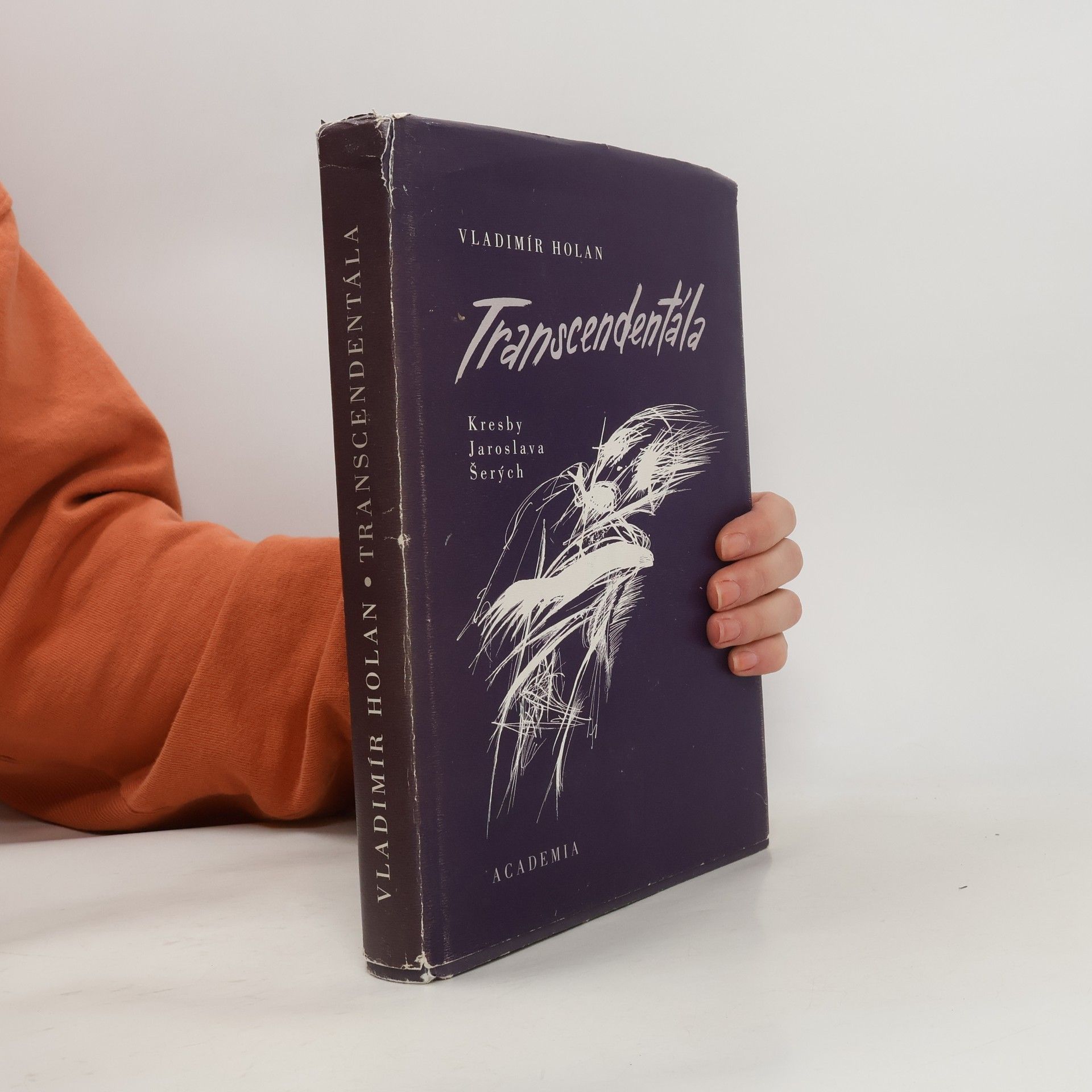 Transcendentála: Výbor z díla