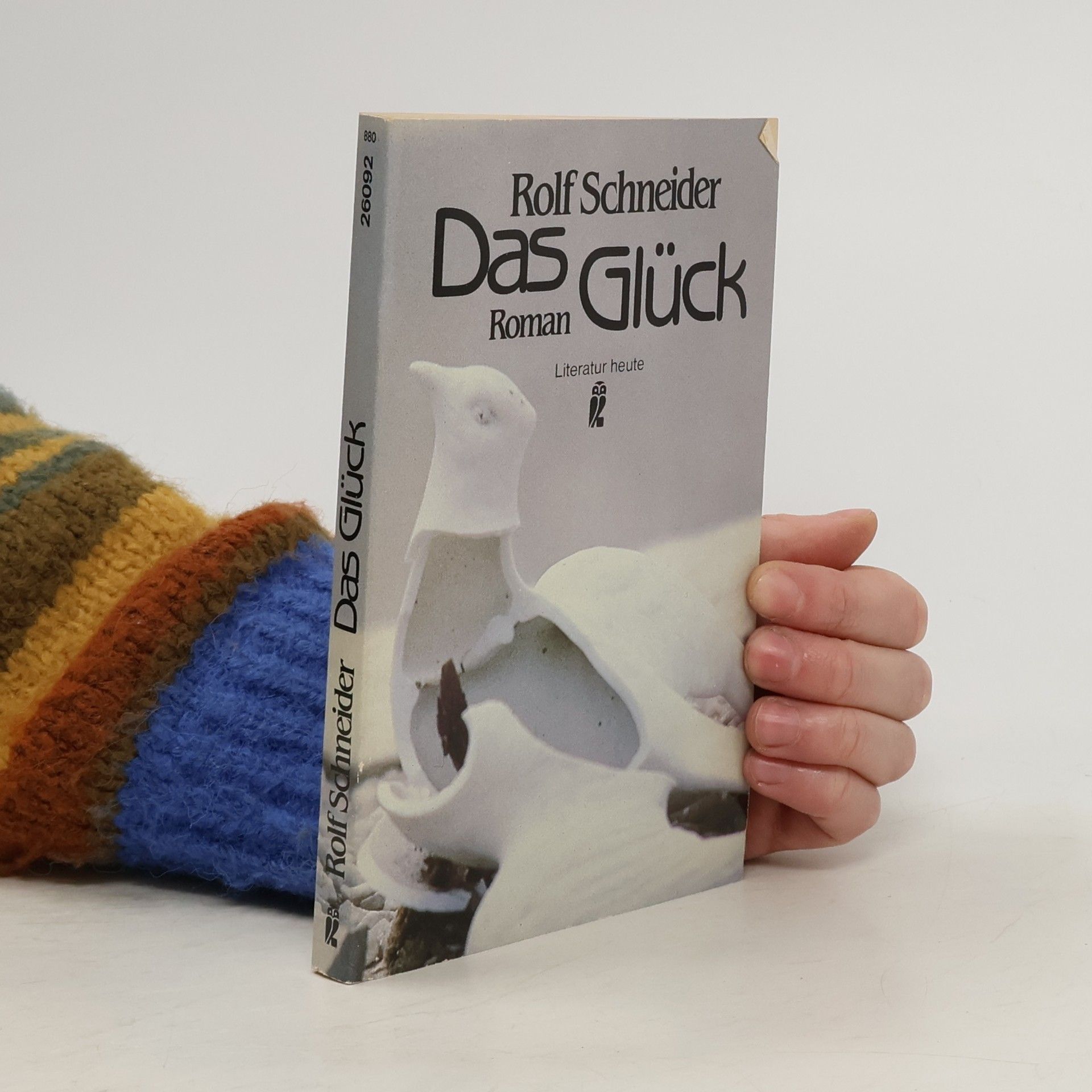 Rolf Schneider Das Glück