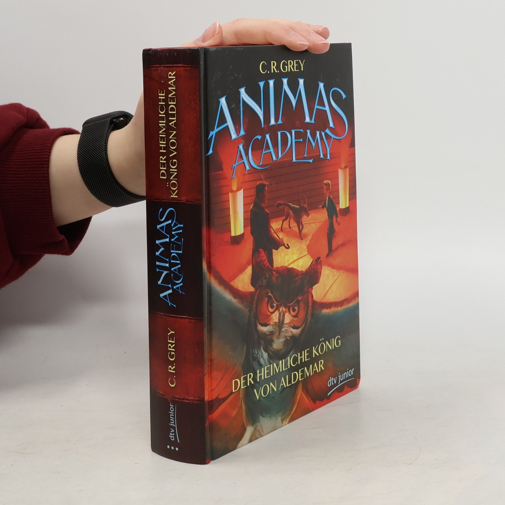 Animas Academy – der heimliche König von Aldemar