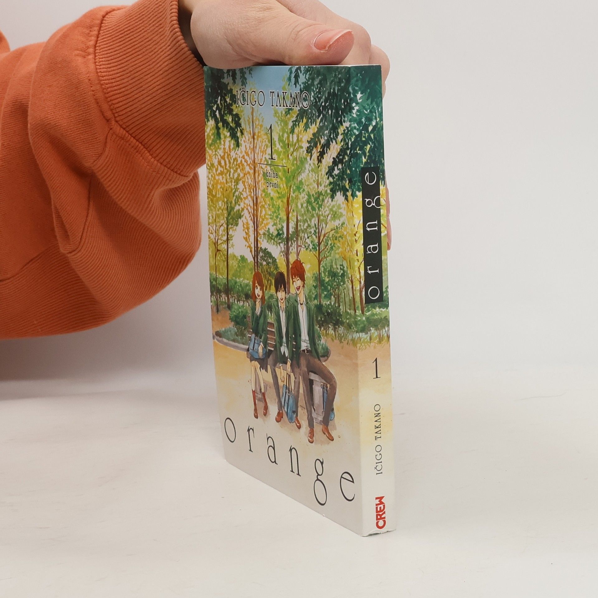 Ičigo Takano Orange 1