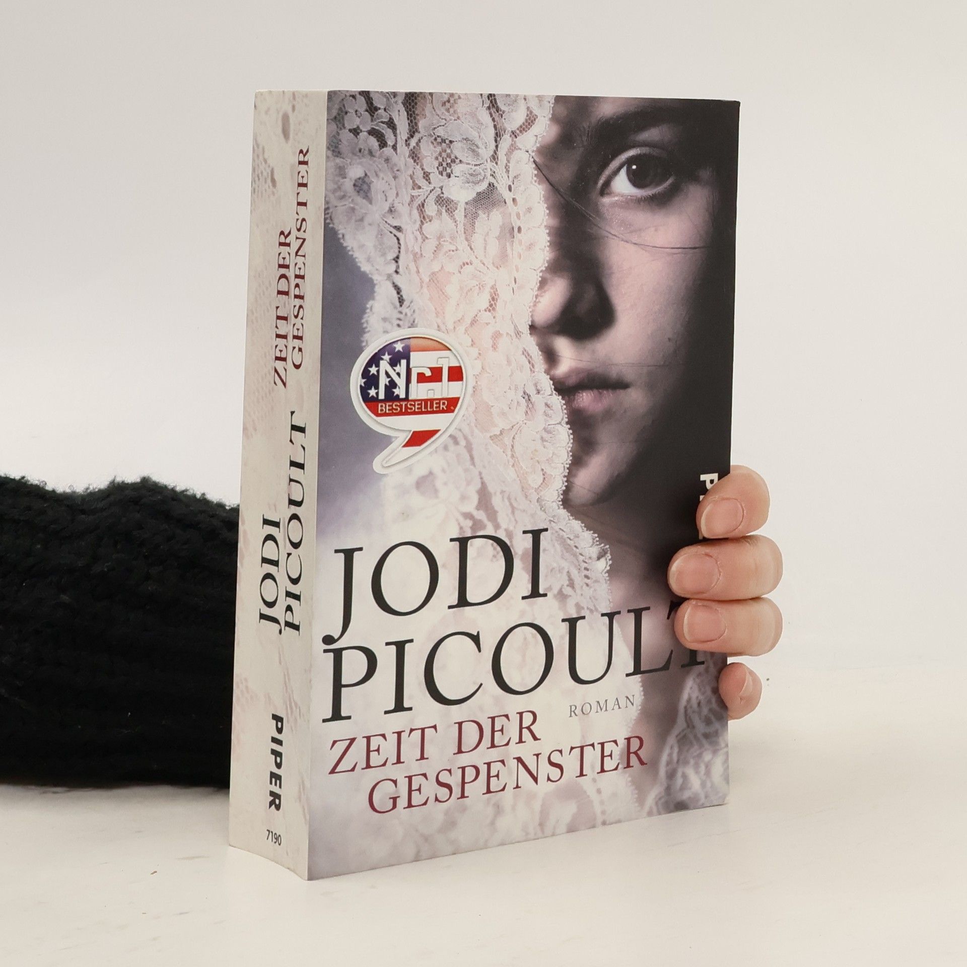 Jodi Picoult Zeit der Gespenster