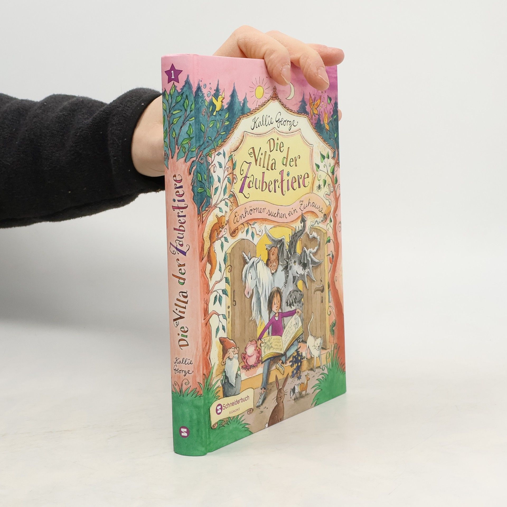 Kallie George Einhörner suchen ein Zuhause/ Kallie George ; aus dem Amerikanischen von Nadine Mannchen