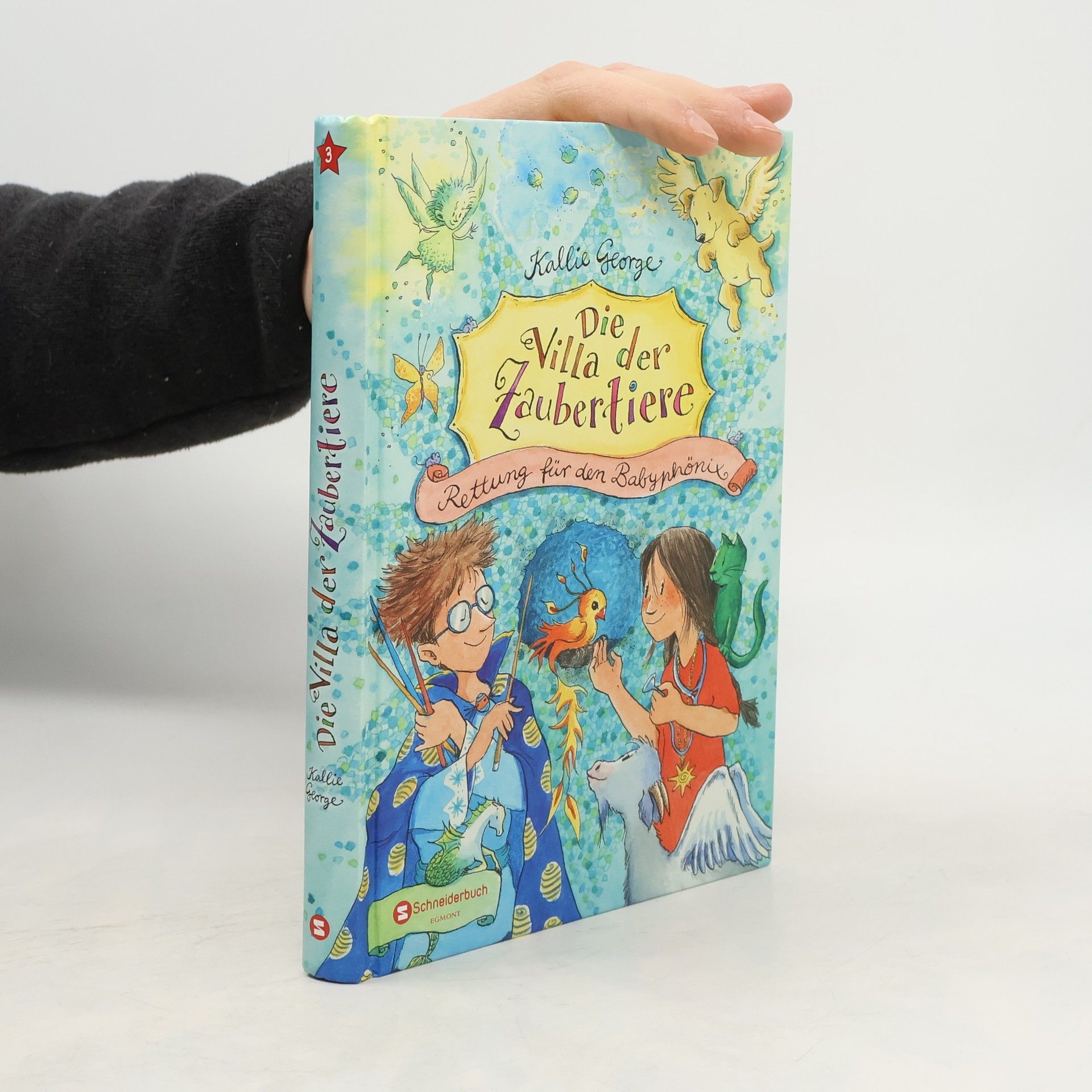 Rettung für den Babyphönix