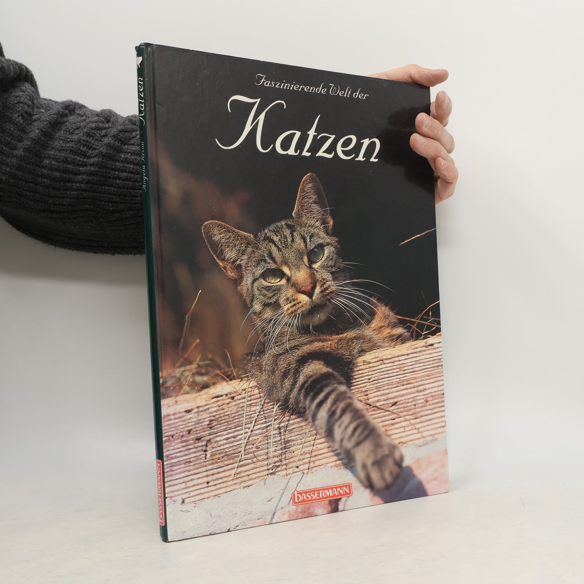 Faszinierende Welt der Katzen