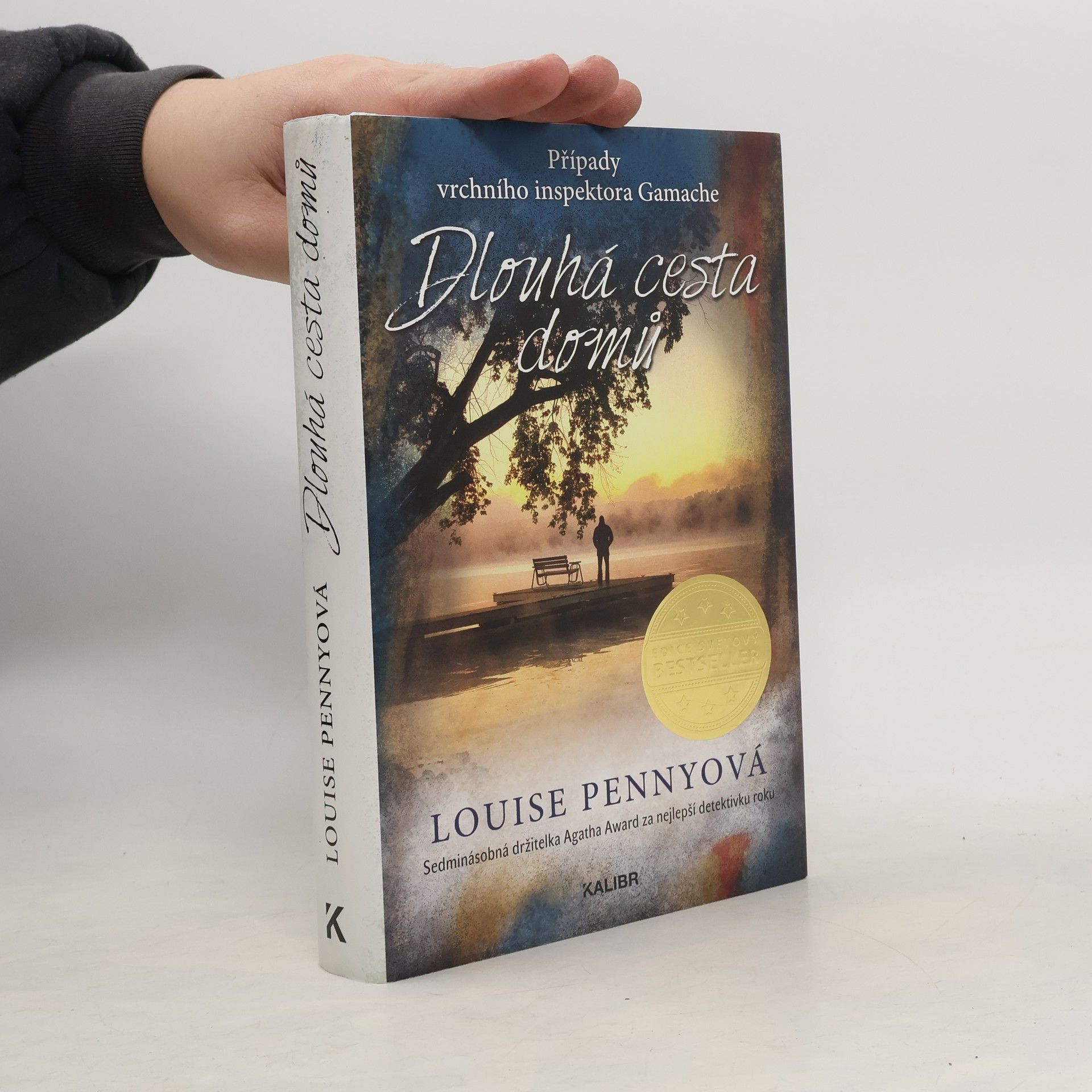 Louise Penny Dlouhá cesta domů