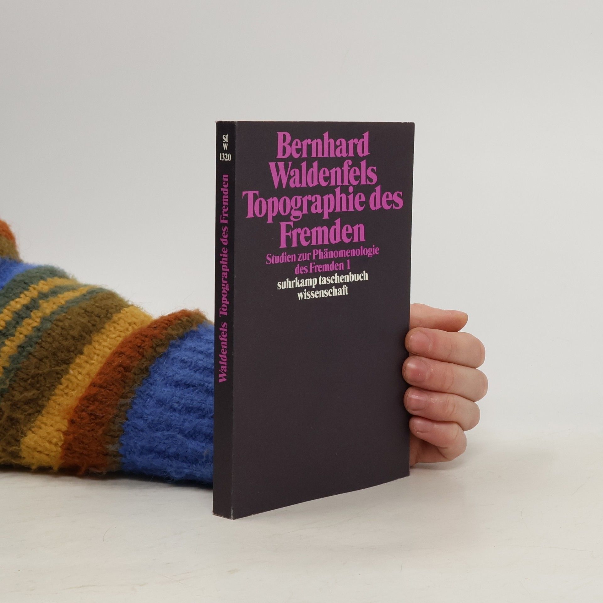 Studien zur Phänomenologie des Fremden 1