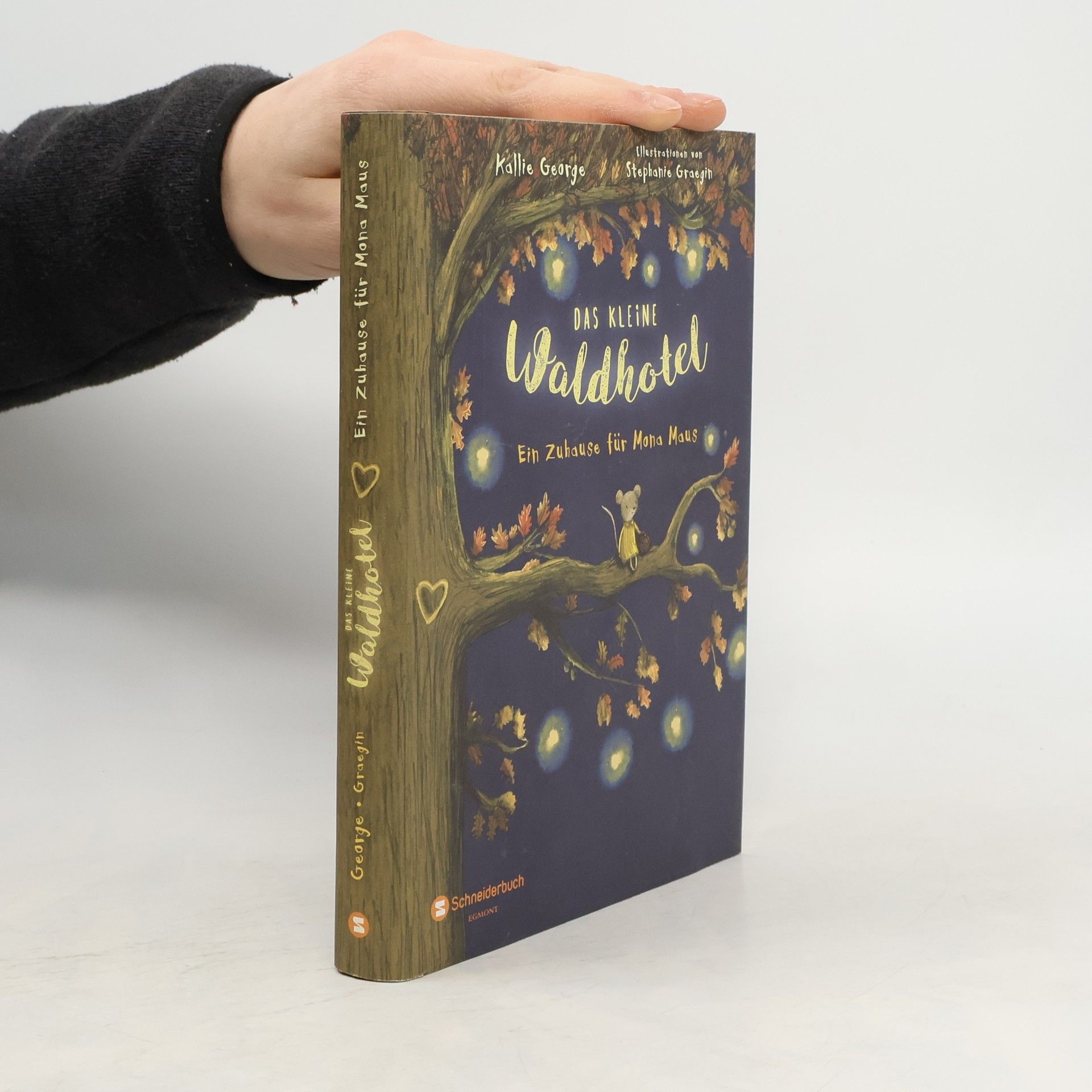 Kallie George Ein Zuhause für Mona Maus