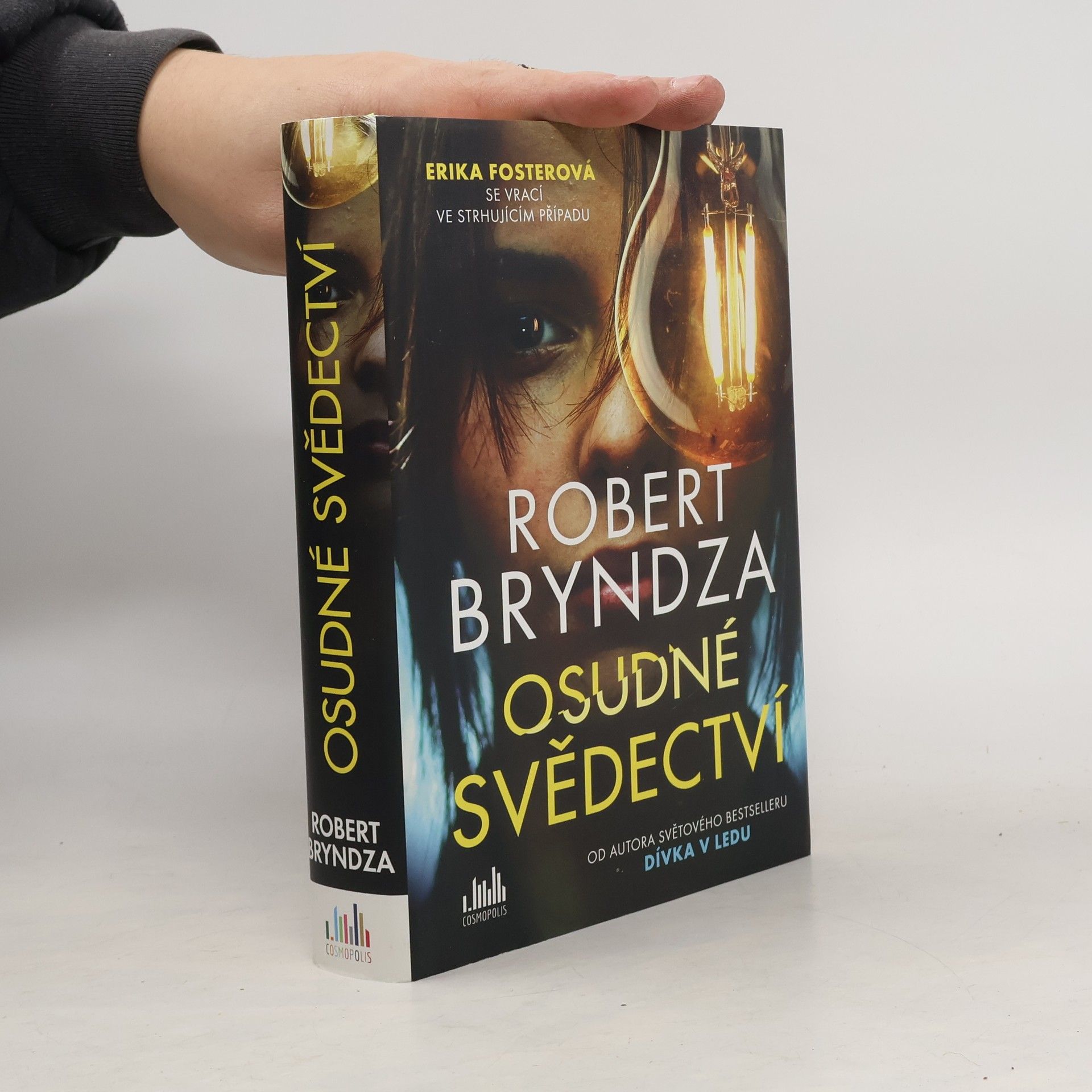 Robert Bryndza Osudné svědectví