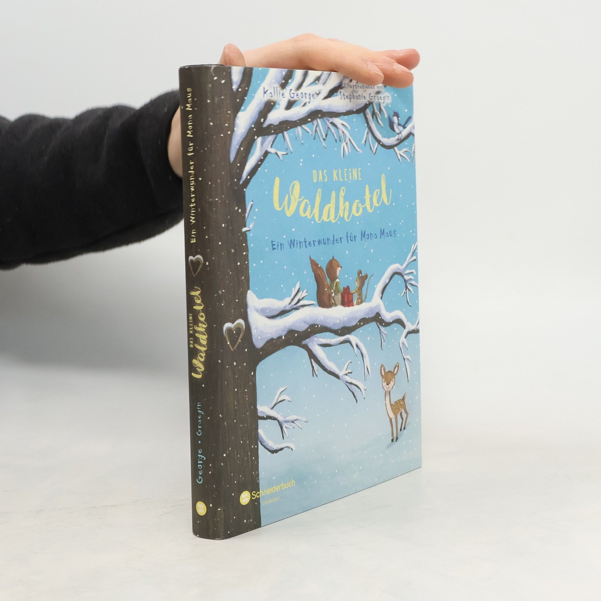 Ein Winterwunder für Mona Maus