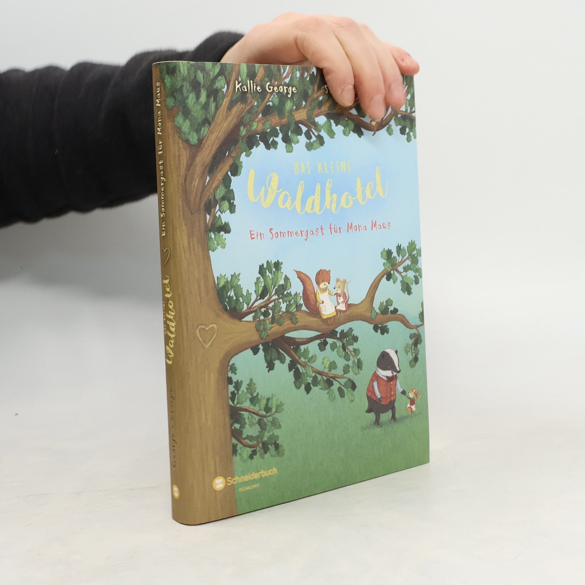 Ein Sommergast für Mona Maus