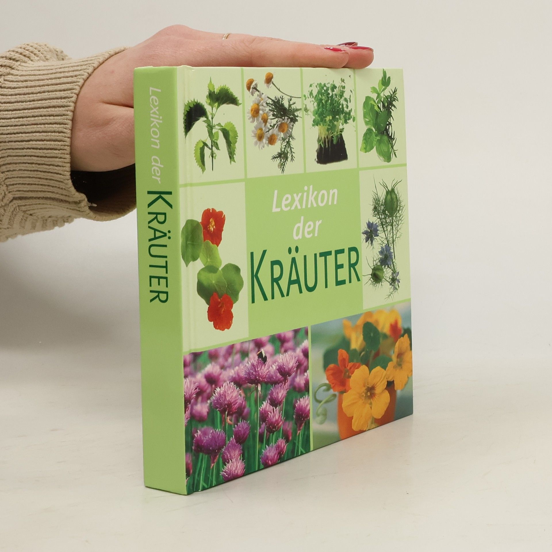 Hans W. Kothe Lexikon der Kräuter