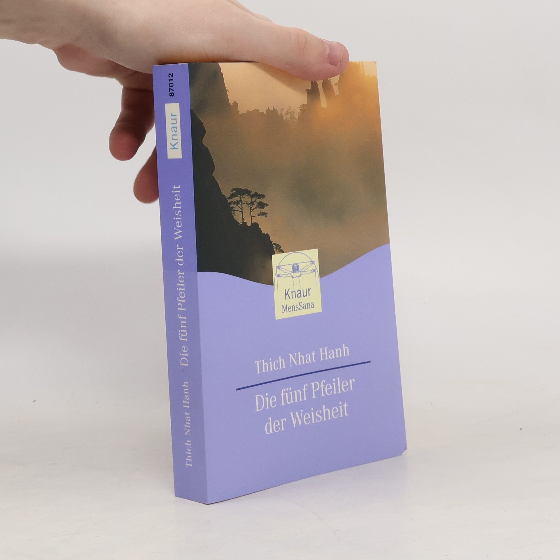 Hạnh Nhat Die fünf Pfeiler der Weisheit