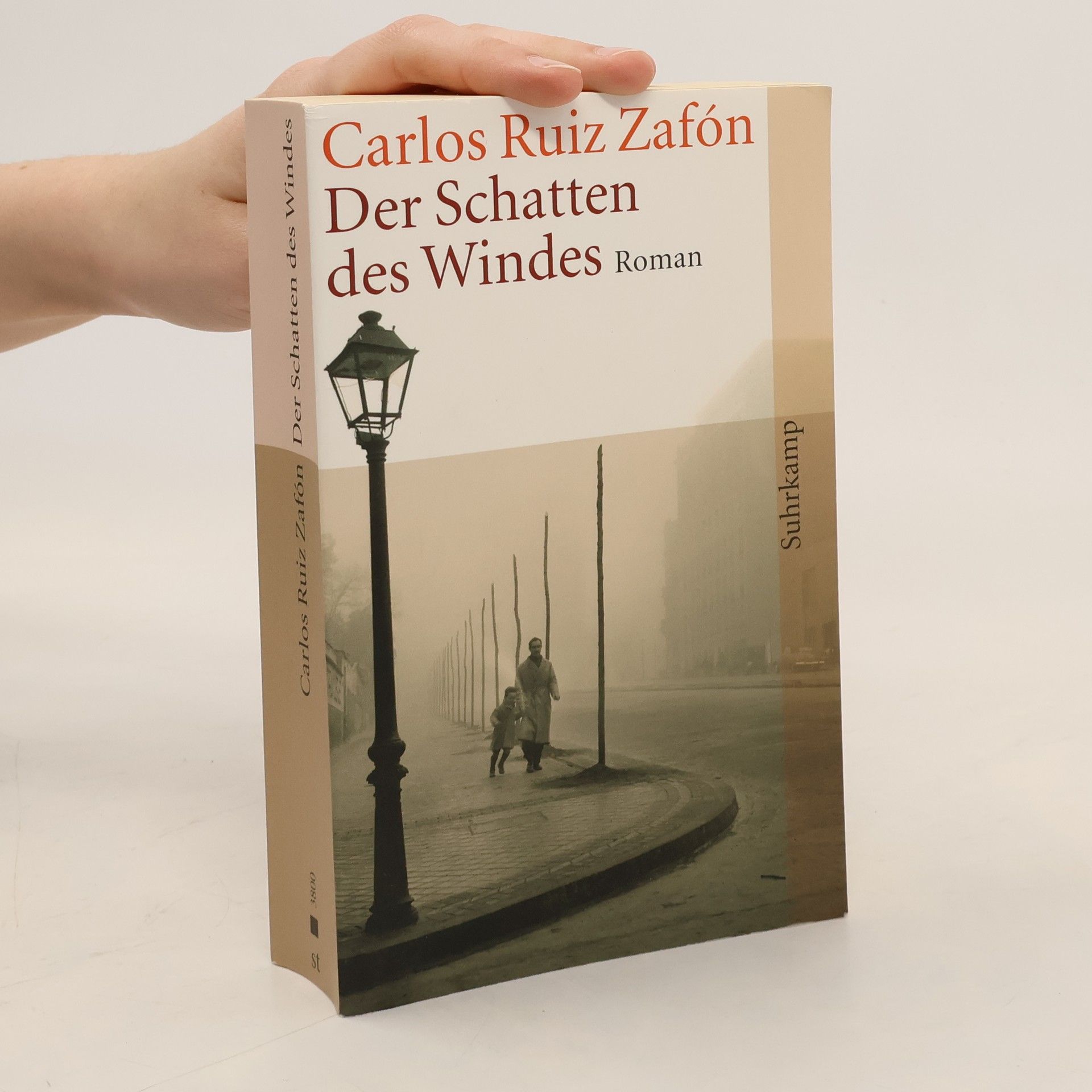 Carlos Ruiz Zafón Der Schatten des Windes