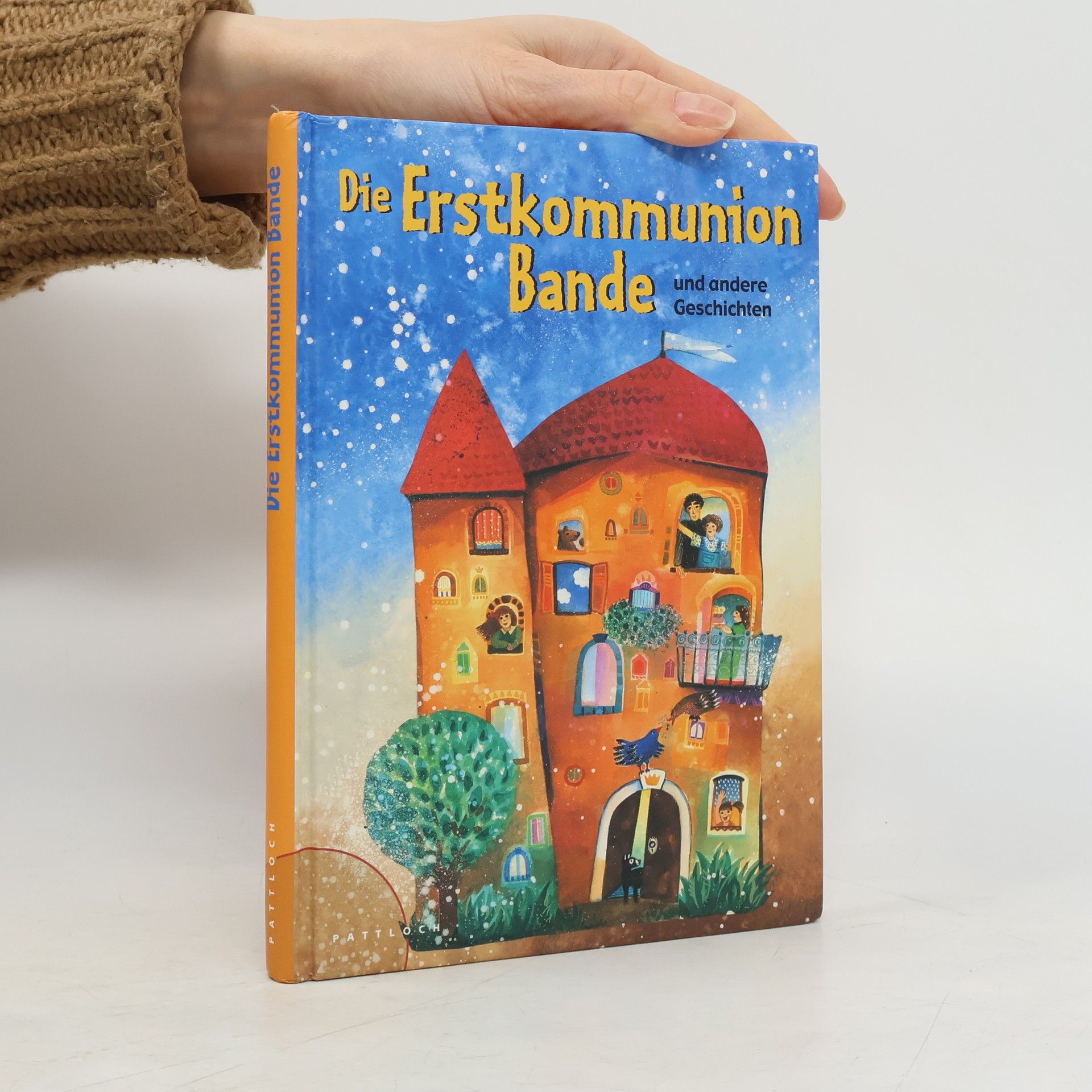 Luise Holthausen Die Erstkommunionbande und andere Geschichten