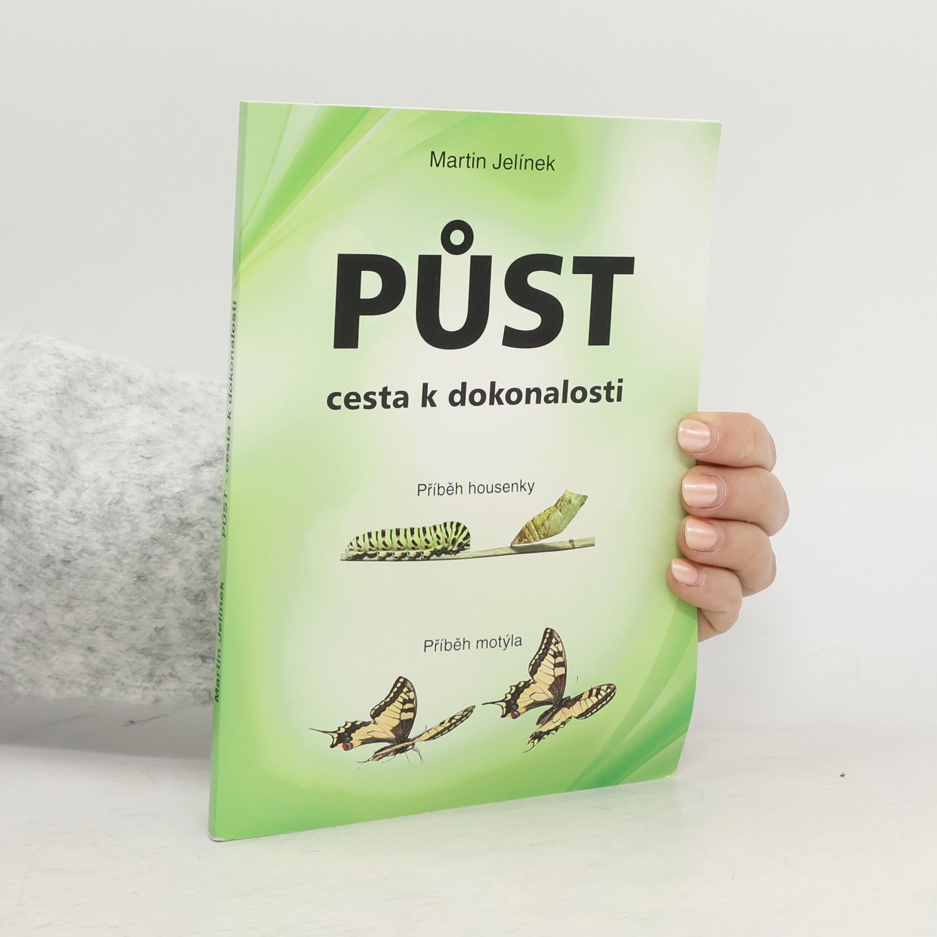 Jelínek Martin Půst - cesta k dokonalosti