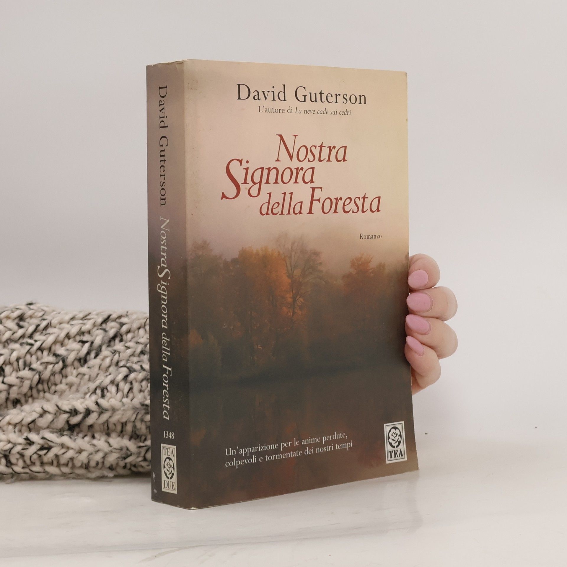 Teadue: Nostra signora della foresta