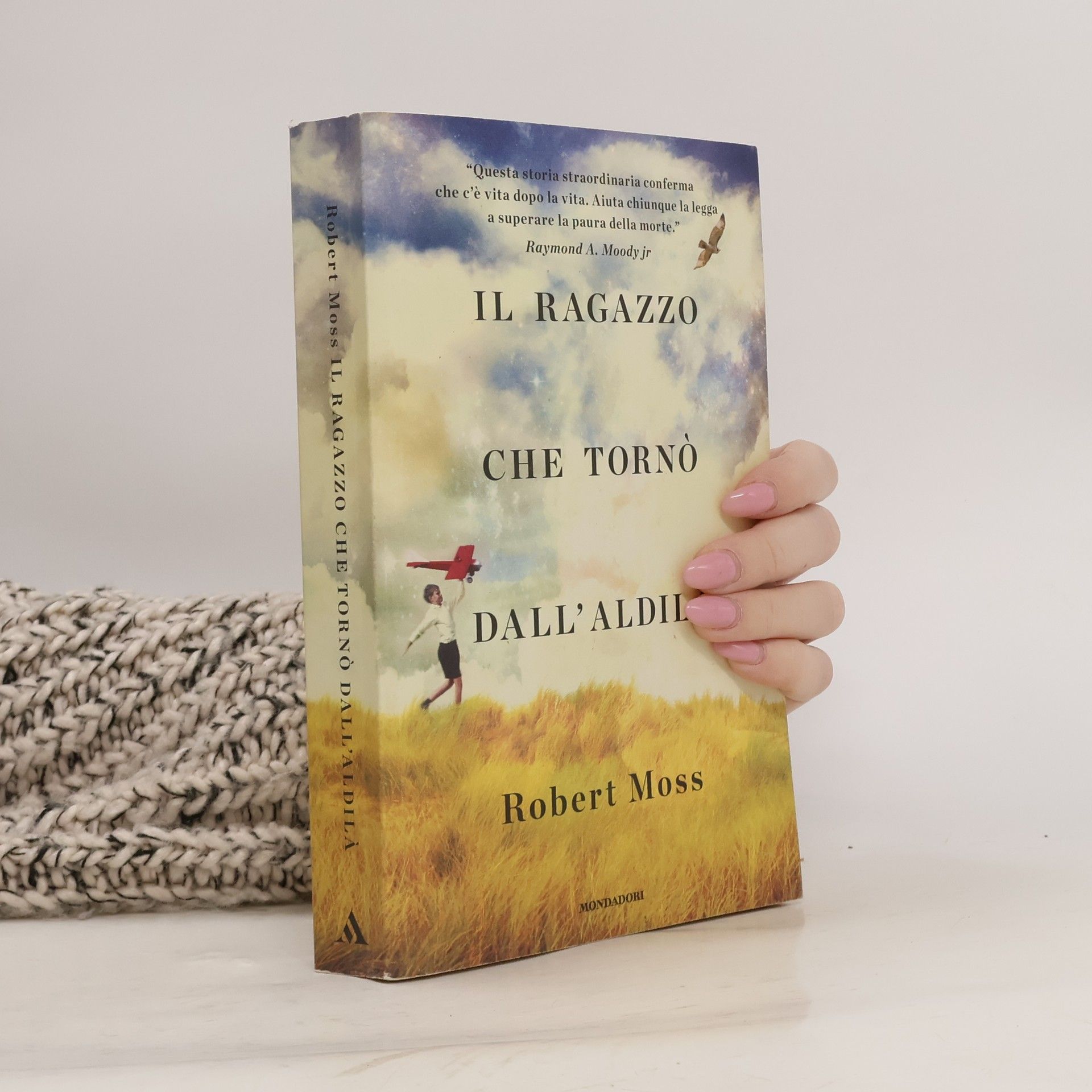 Il ragazzo che tornò dall'aldilà