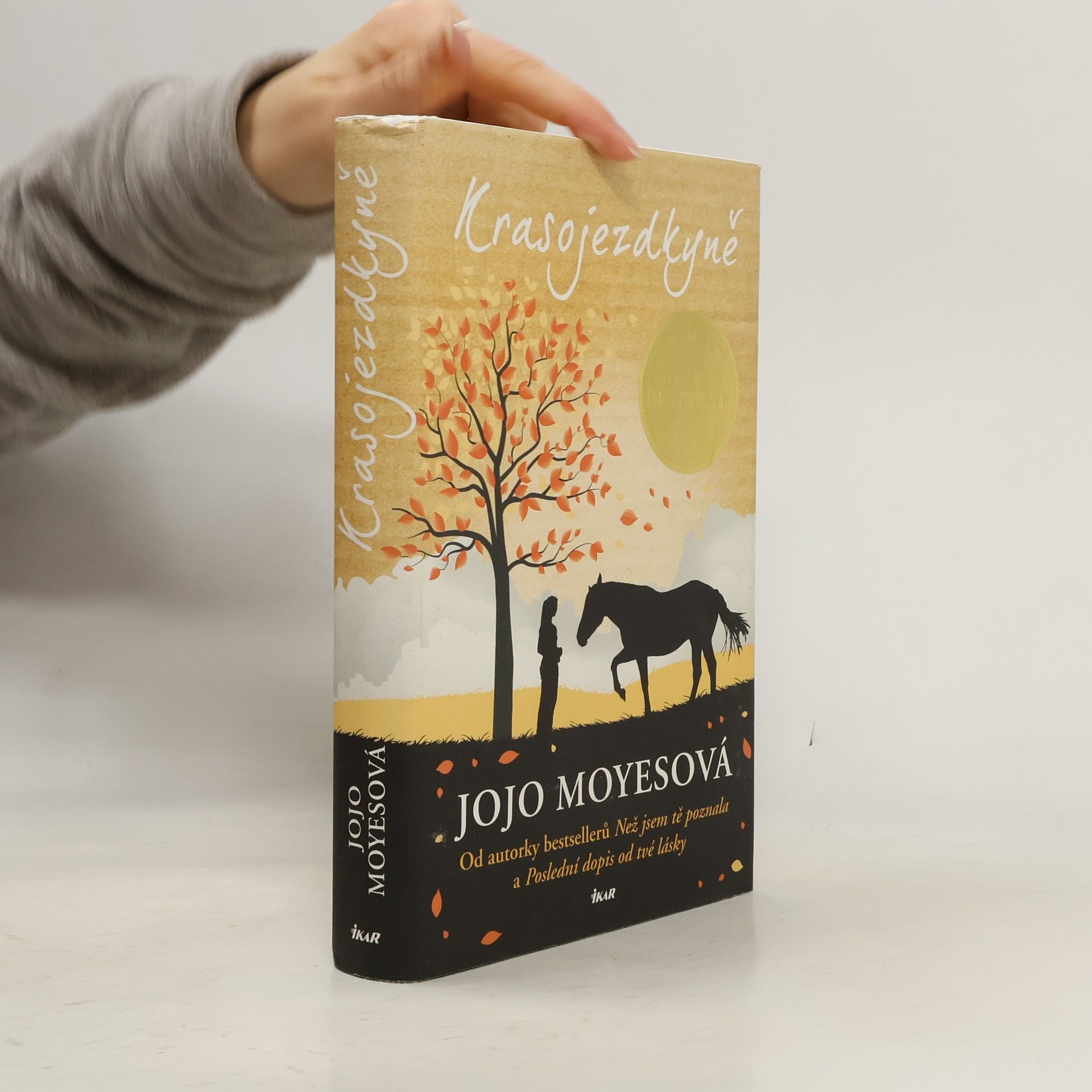 Jojo Moyesová Krasojezdkyně
