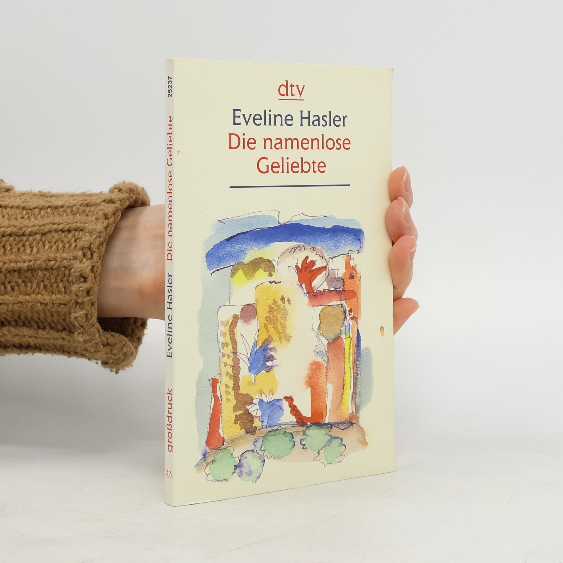 Eveline Hasler Die namenlose Geliebte