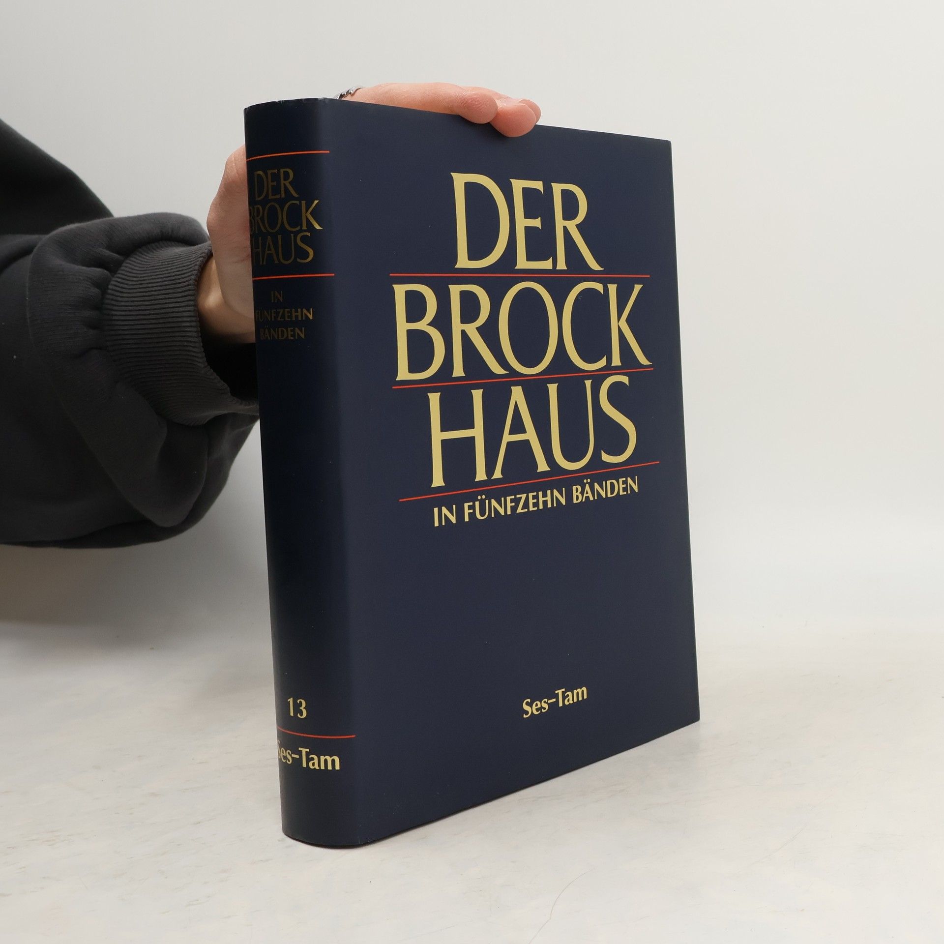 Kolektív autorov Der Brock Haus in fünfzehn Bänden 13. Ses-Tam