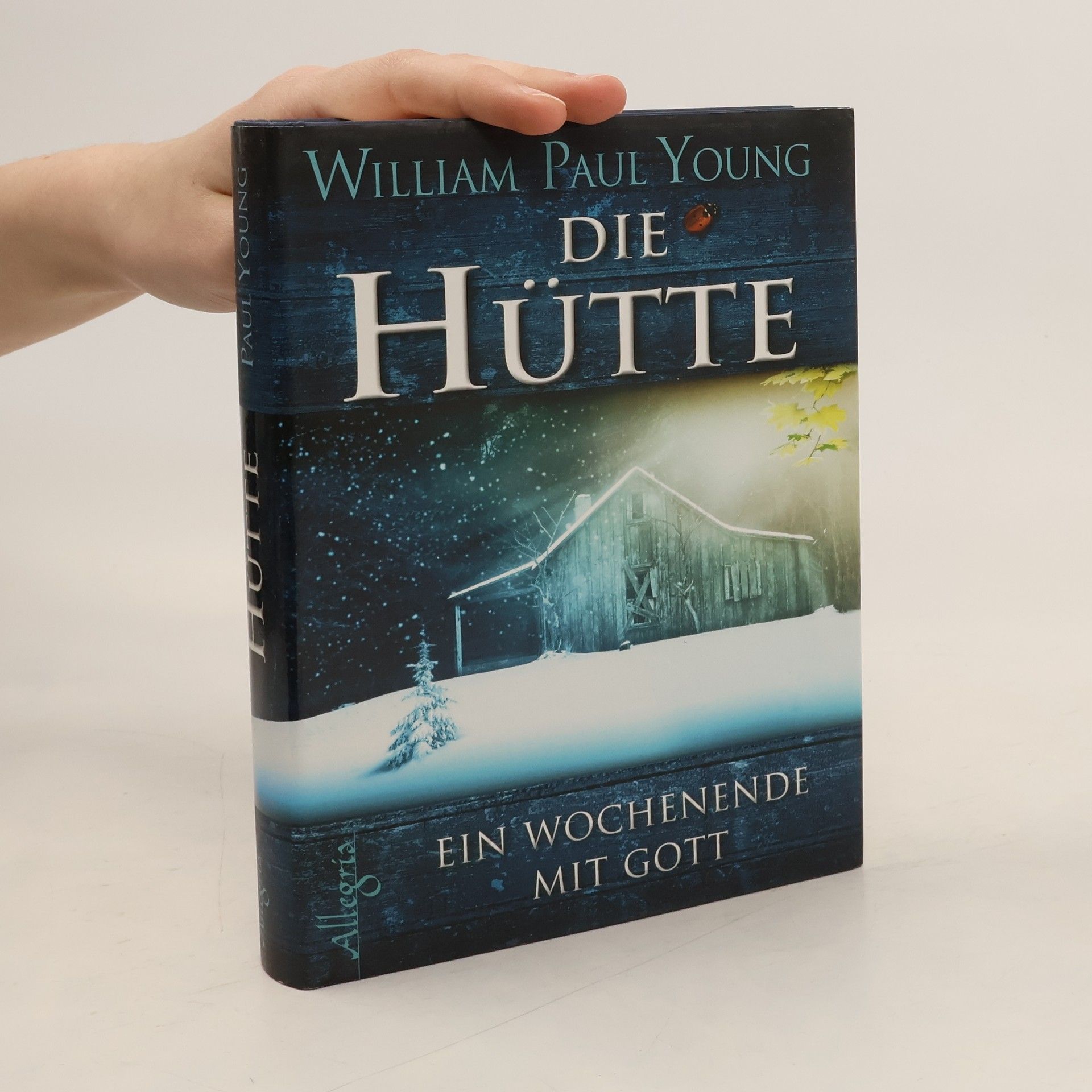 William P. Young Die Hütte