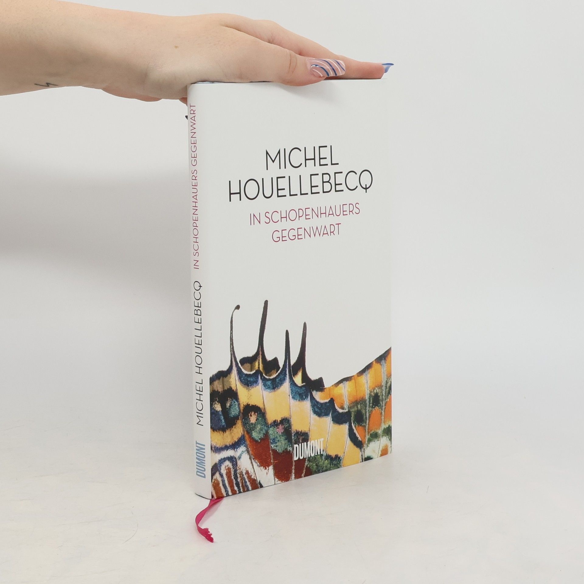 Michel Houellebecq In Schopenhauers Gegenwart