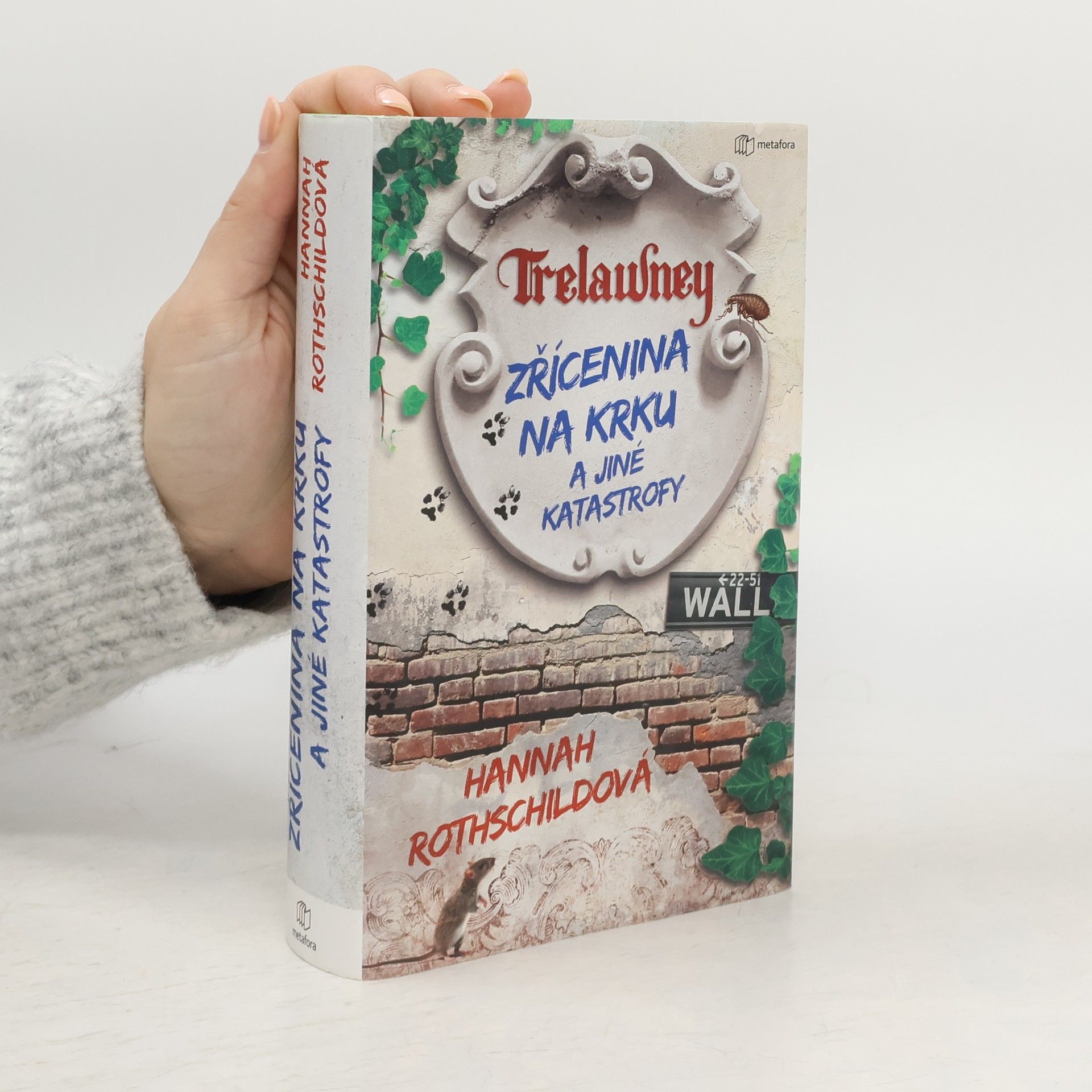 Zřícenina na krku a jiné katastrofy