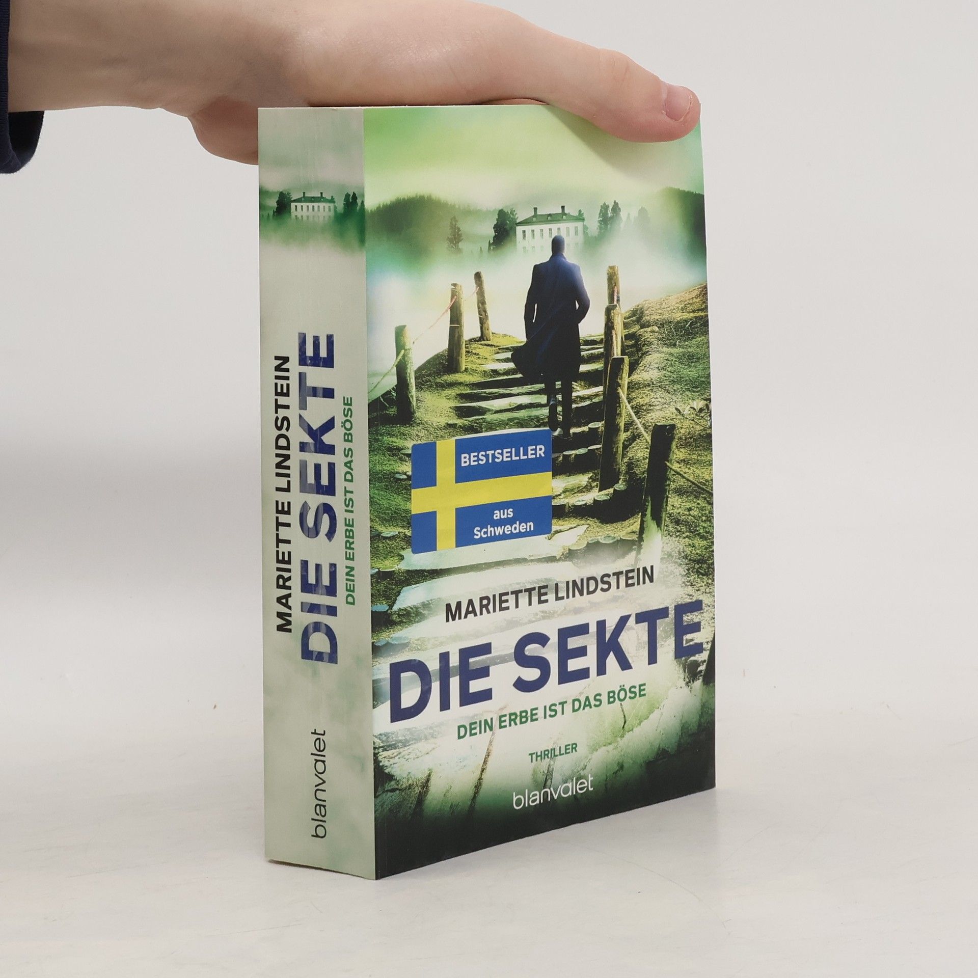 Die Sekte – Dein Erbe ist das Böse. Thriller
