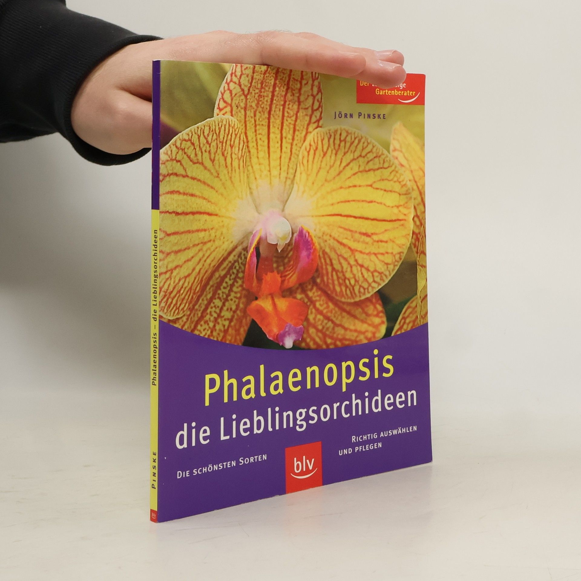 Andrea Christmann Kleine Gärten gestalten