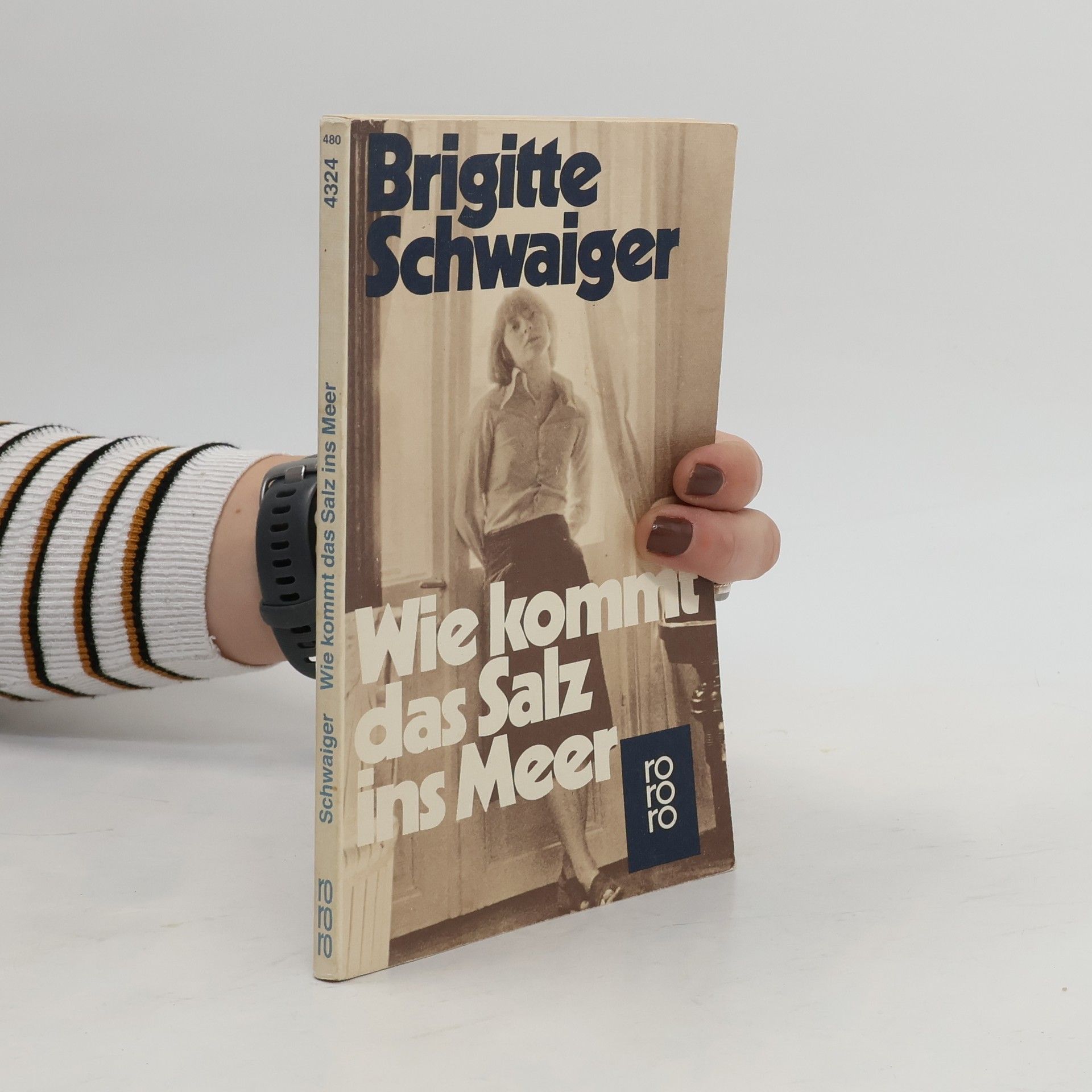 Wie kommt das Salz ins Meer