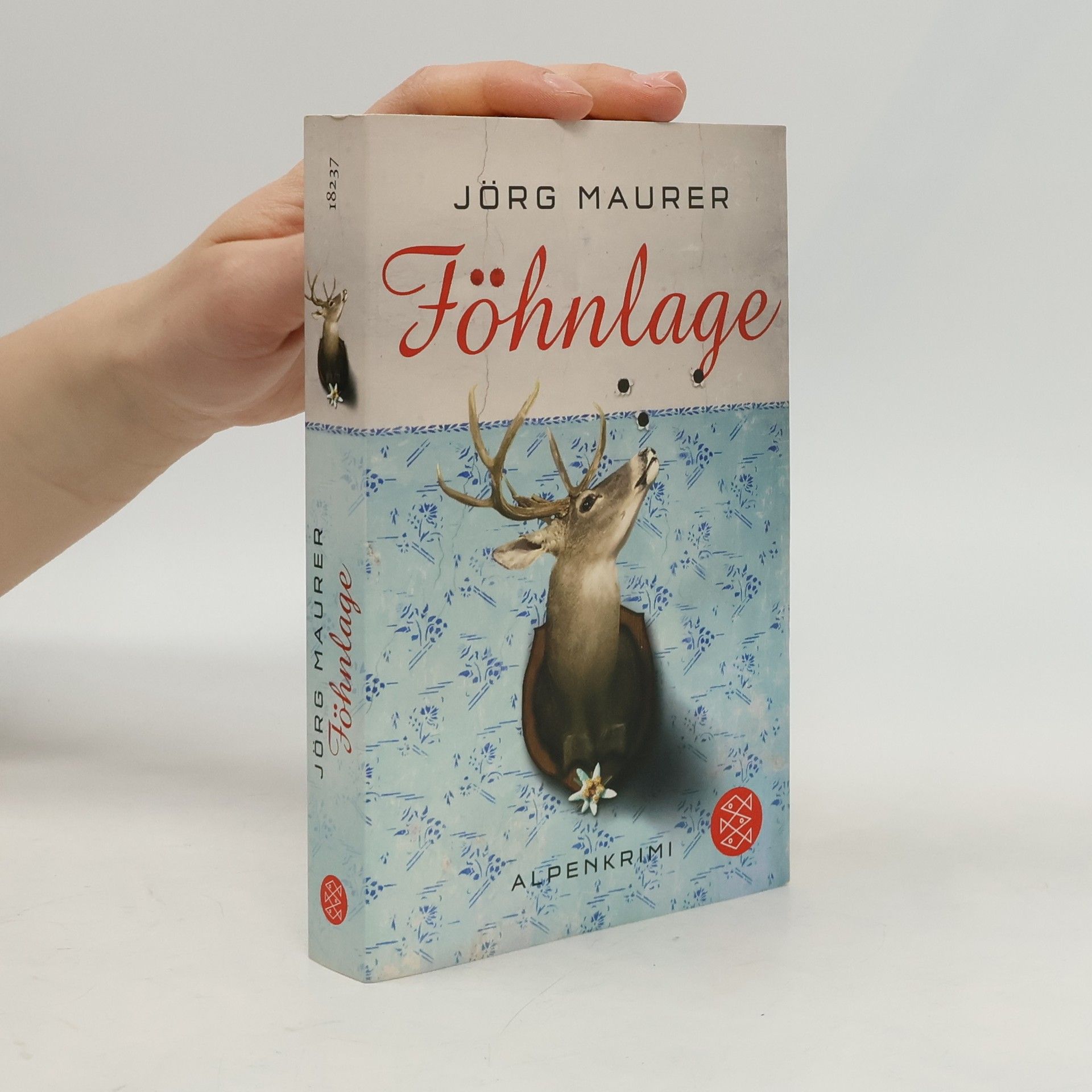 Jörg Maurer Föhnlage