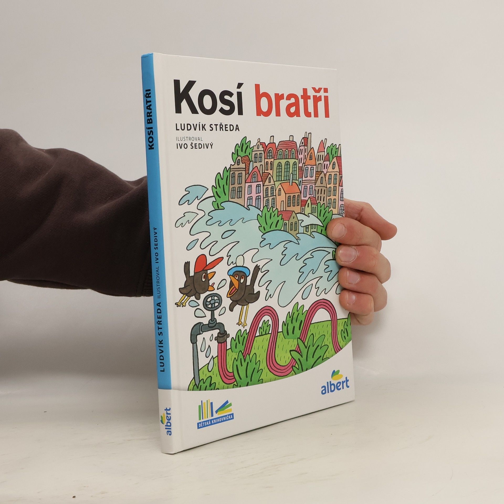 Kosí bratři
