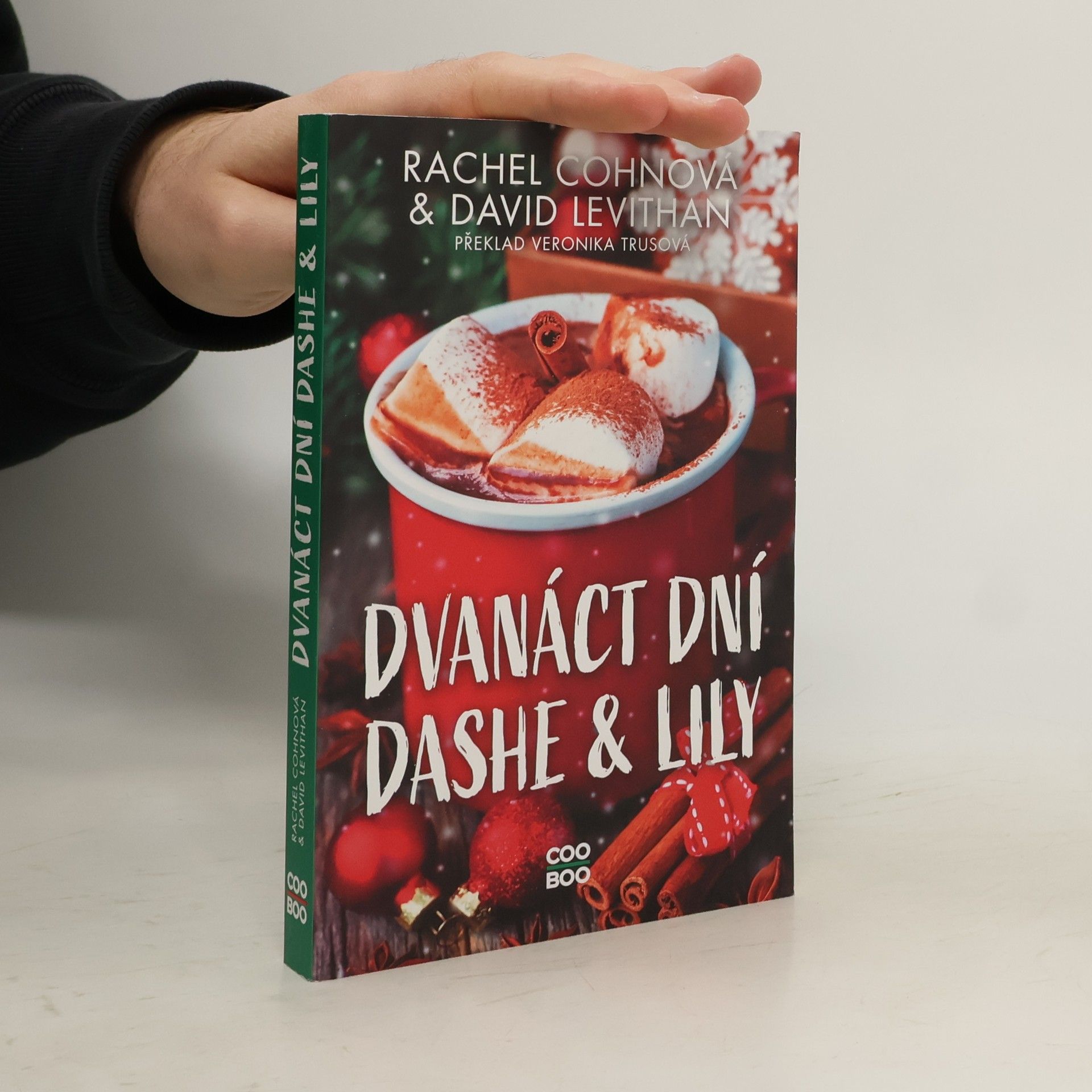 Dvanáct dní Dashe & Lily