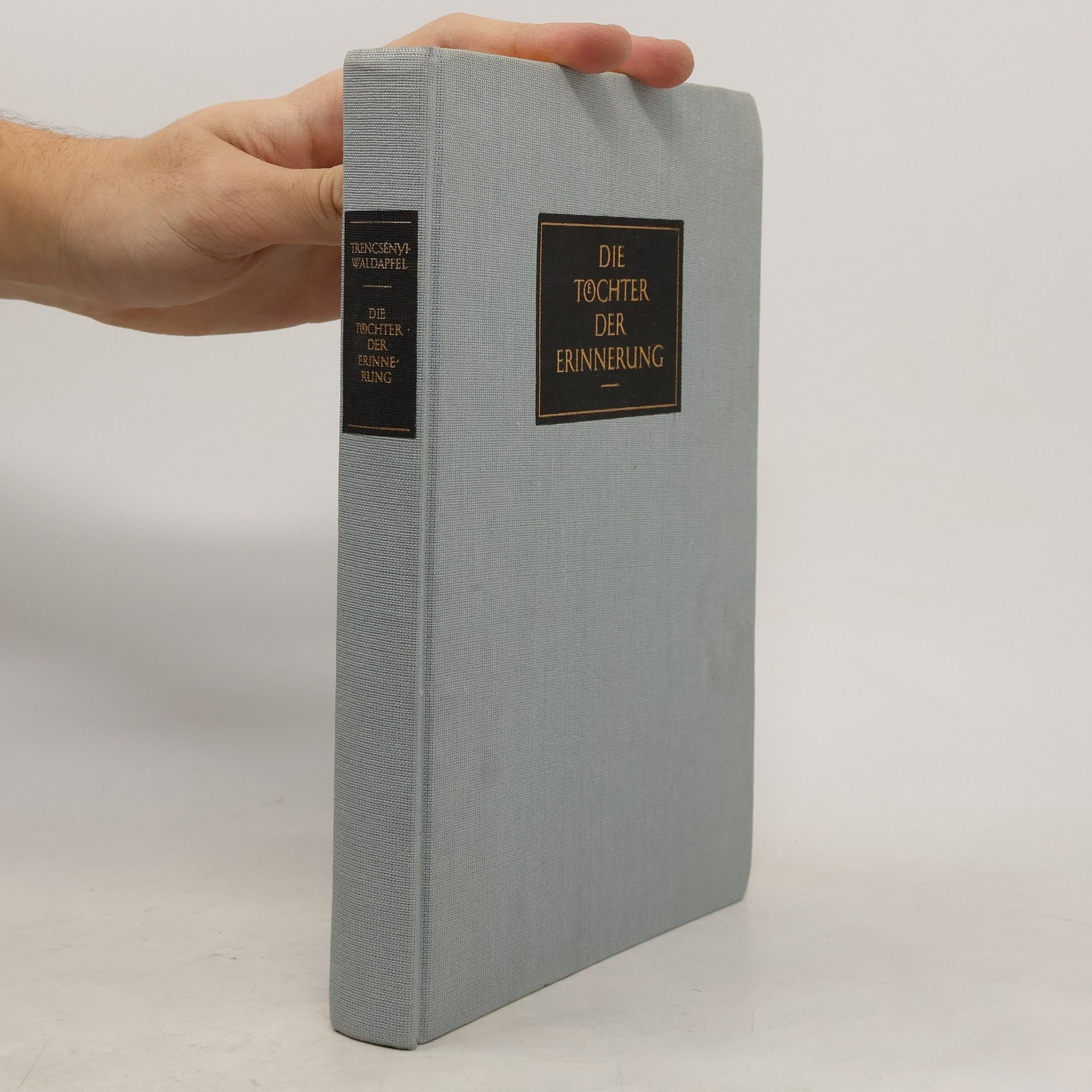 Die Töchter der Erinnerung