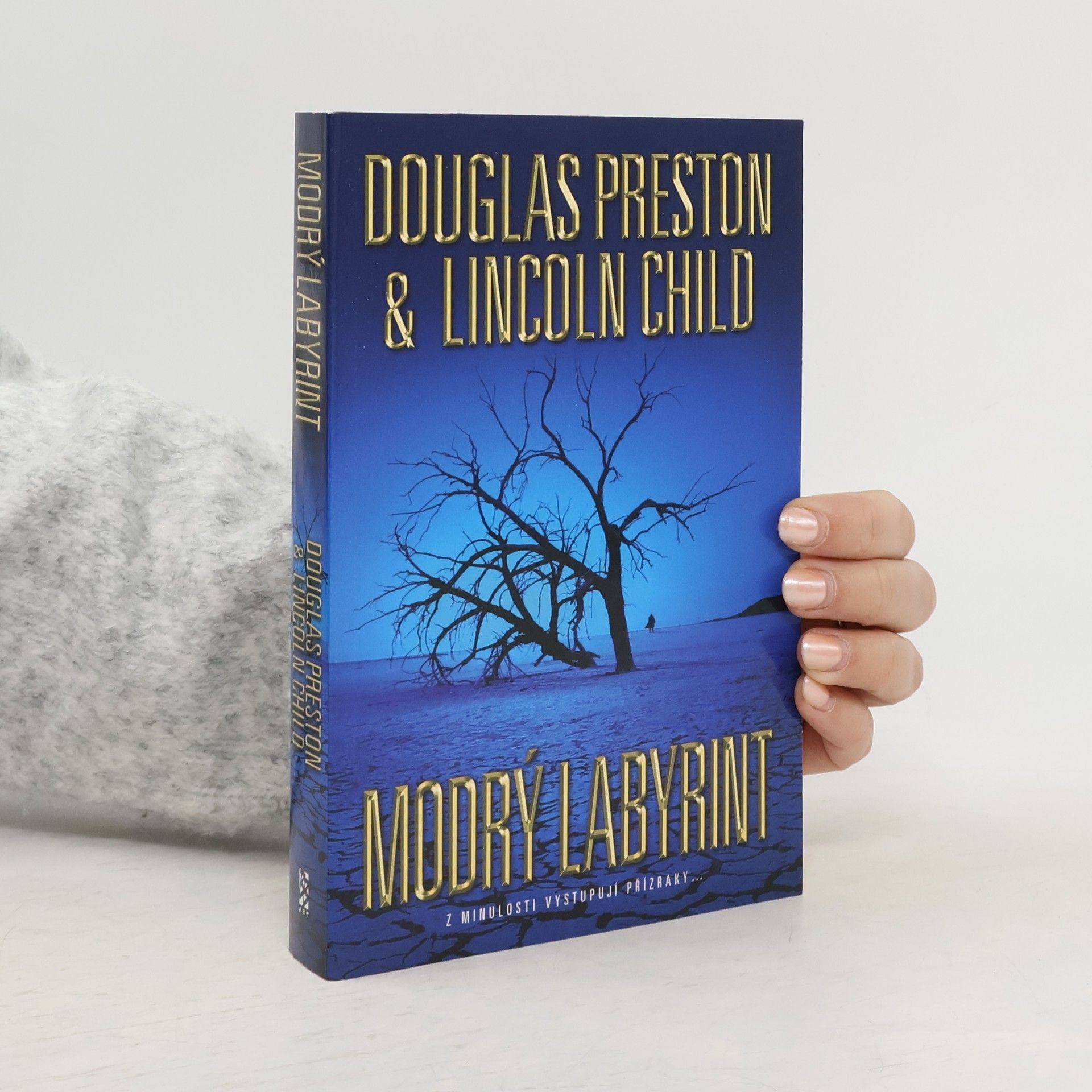 Douglas J. Preston Modrý labyrint