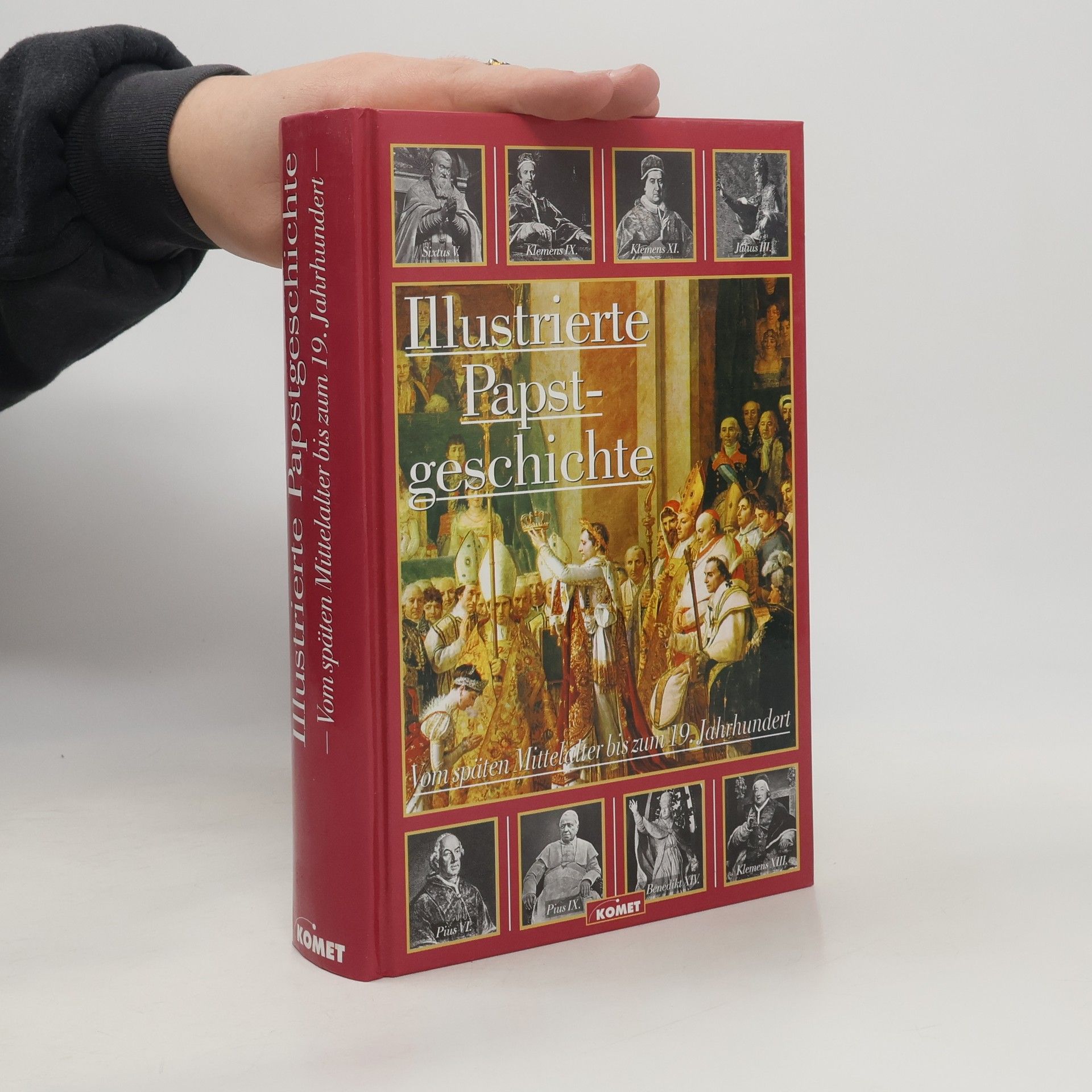 Illustrierte Papstgeschichte. Vom späten Mittelalter bis zum 19. Jahrhundert