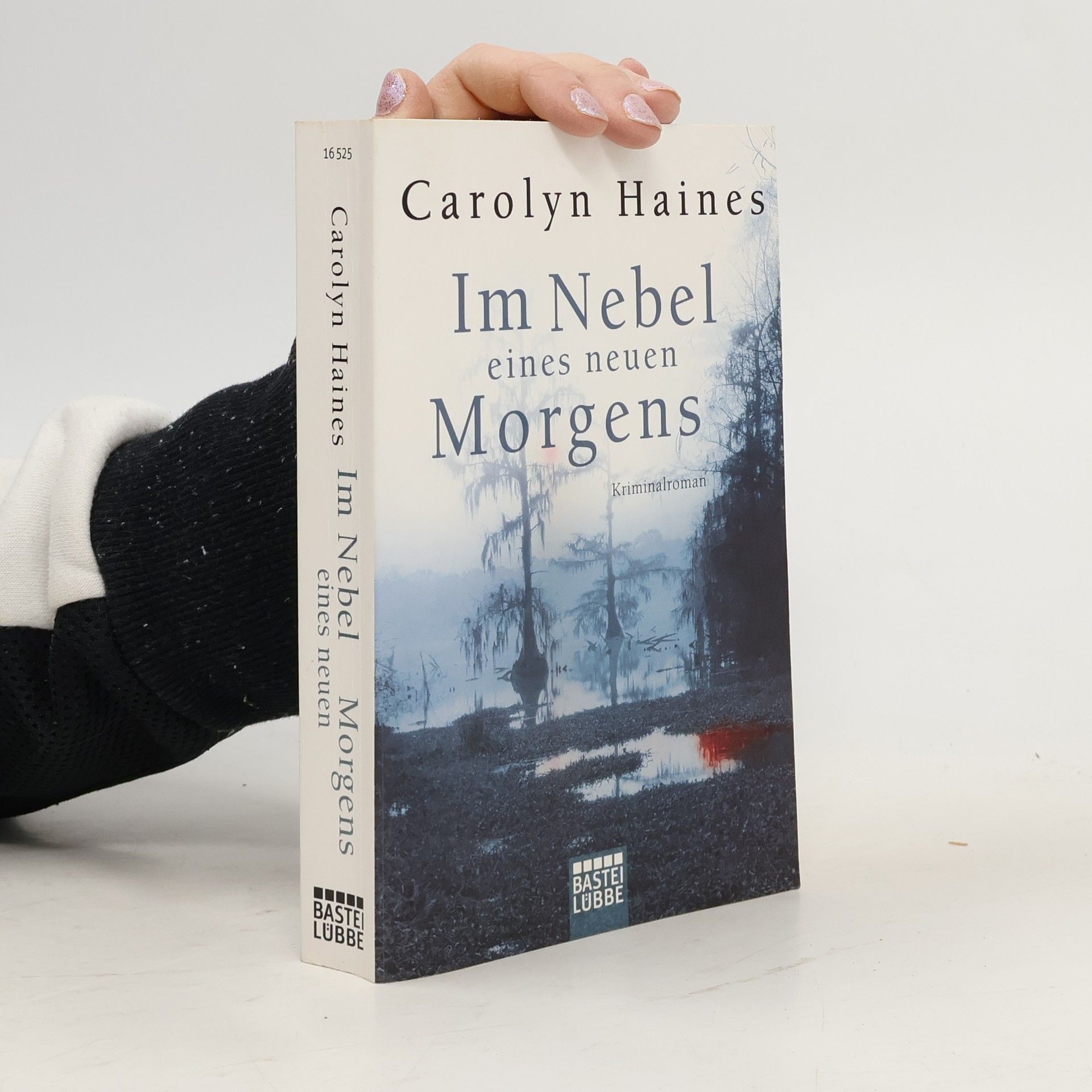 Carolyn Haines Im Nebel eines neuen Morgens
