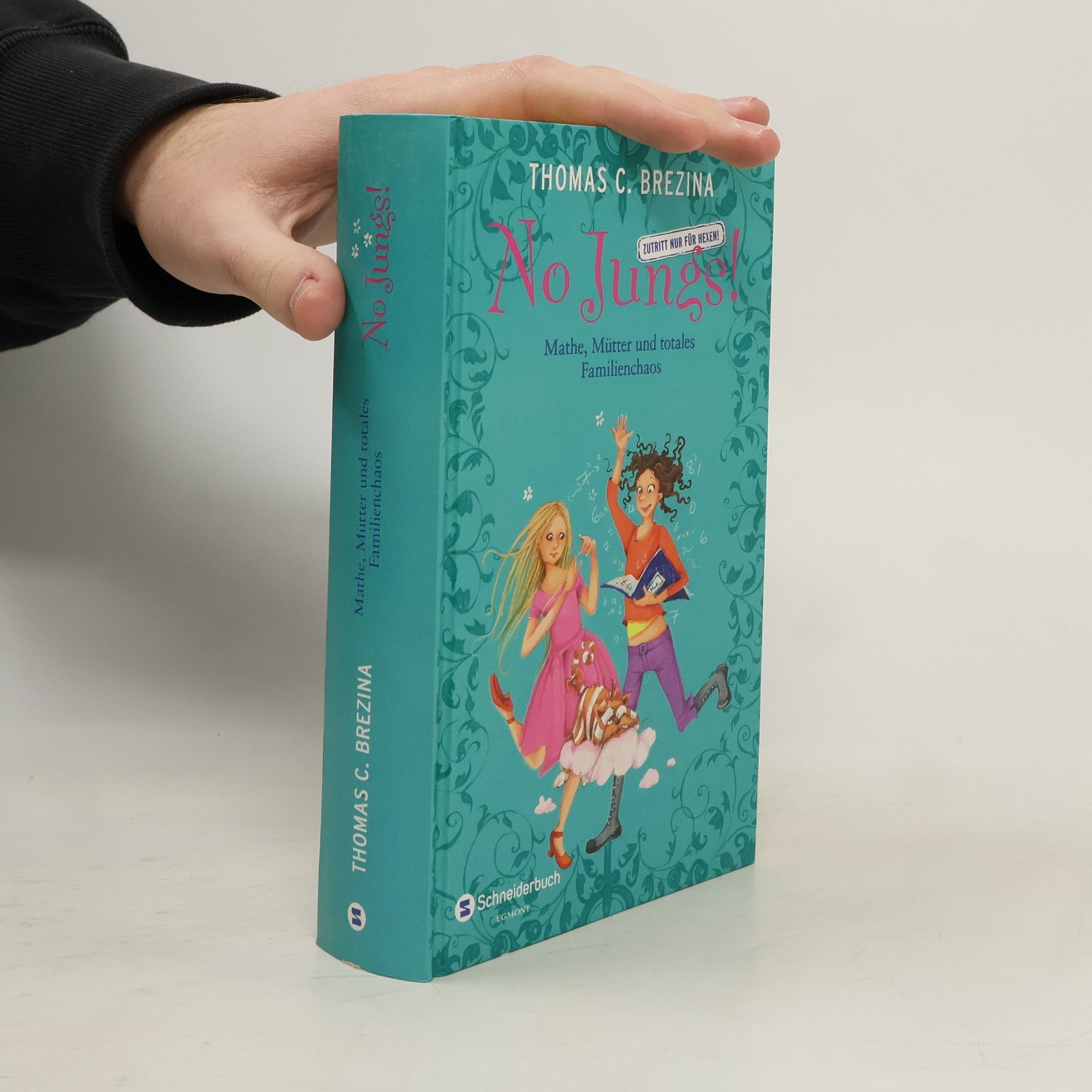 Thomas Brezina No Jungs! Mathe, Mütter und totales Familienchaos