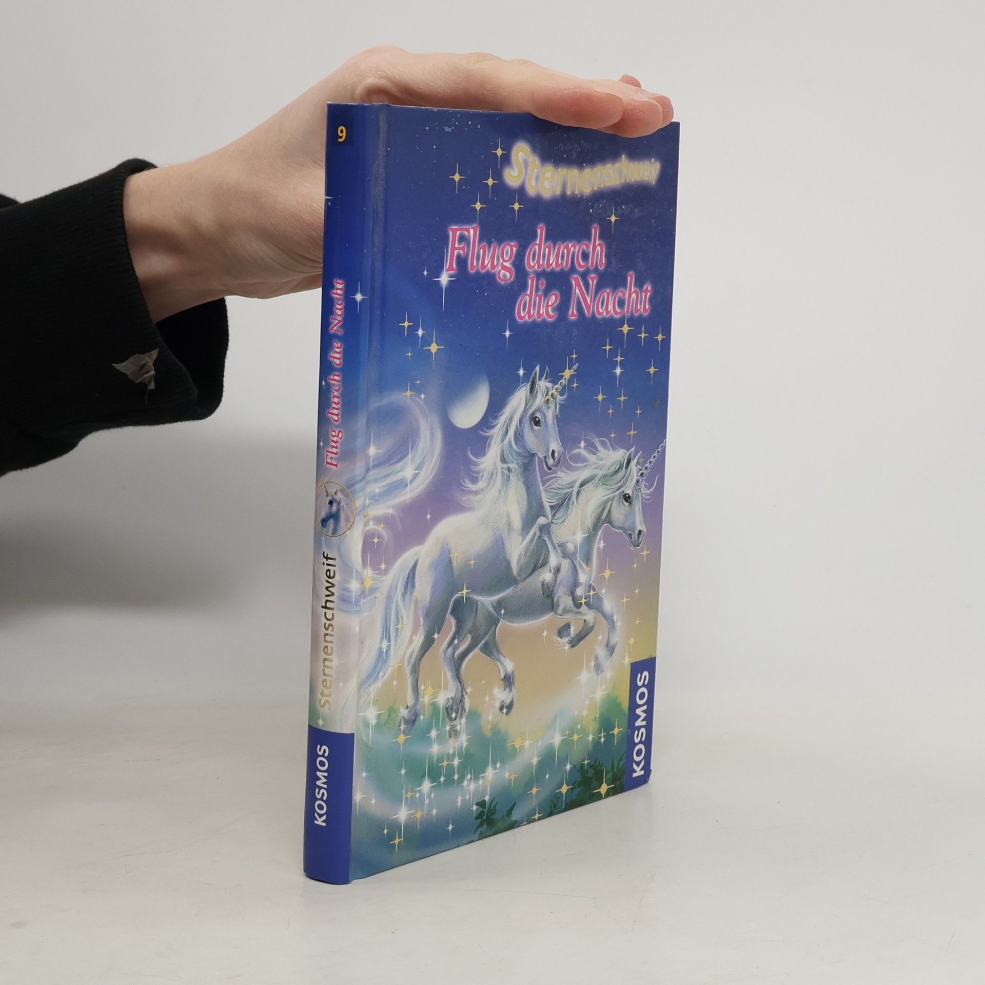 Linda Chapman Sternenschweif. Flug durch die Nacht.