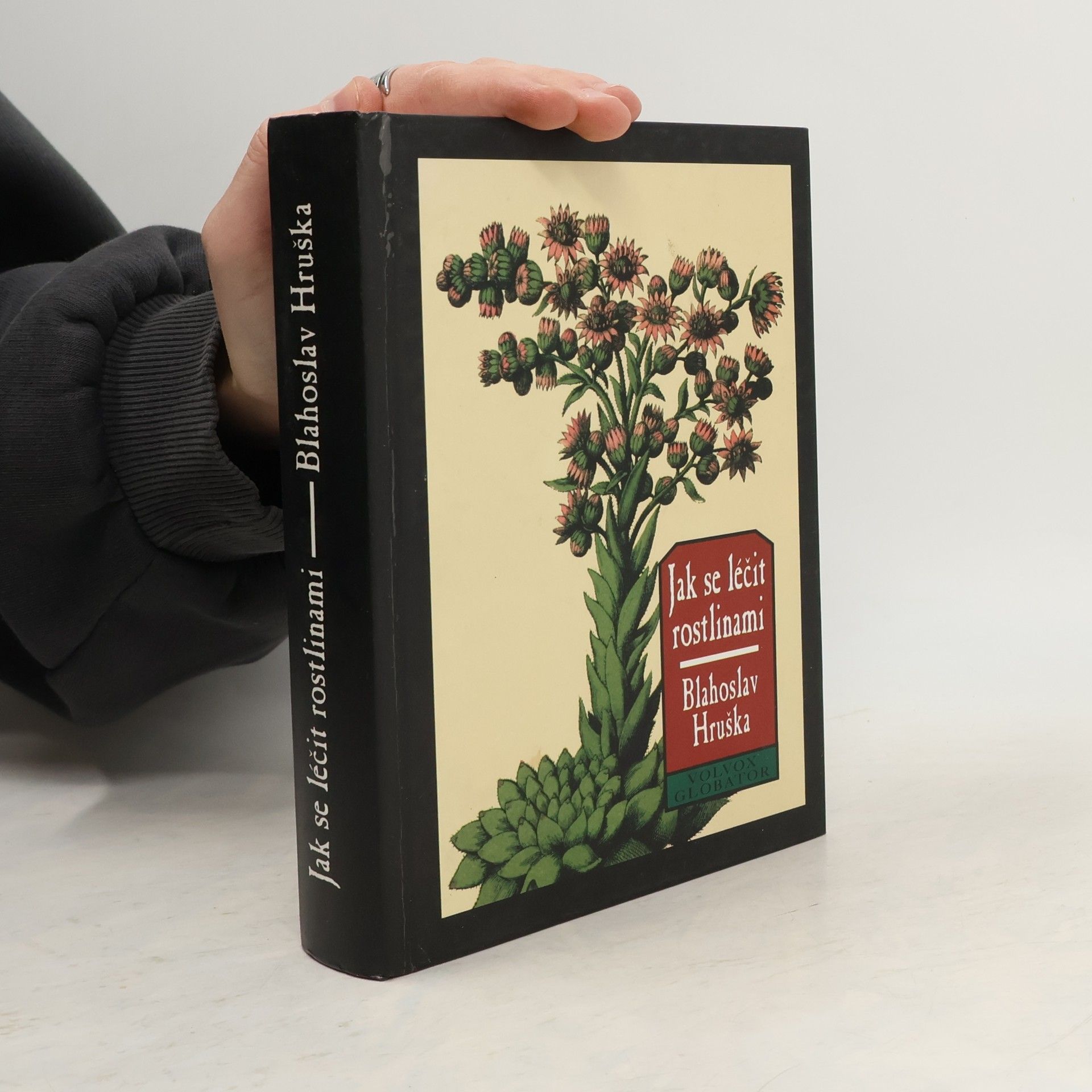 Jak se léčit rostlinami